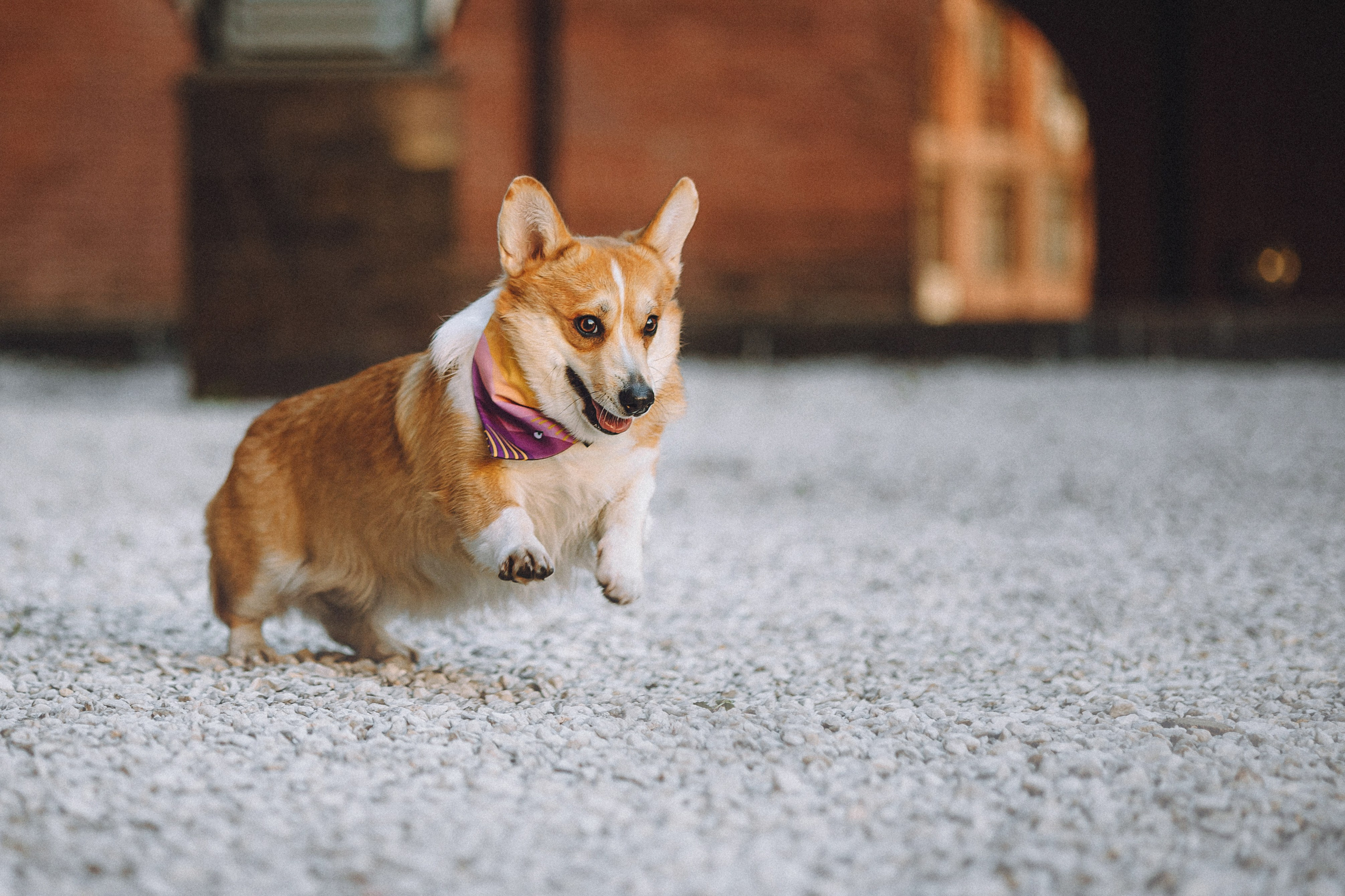 Вика и Мейзи