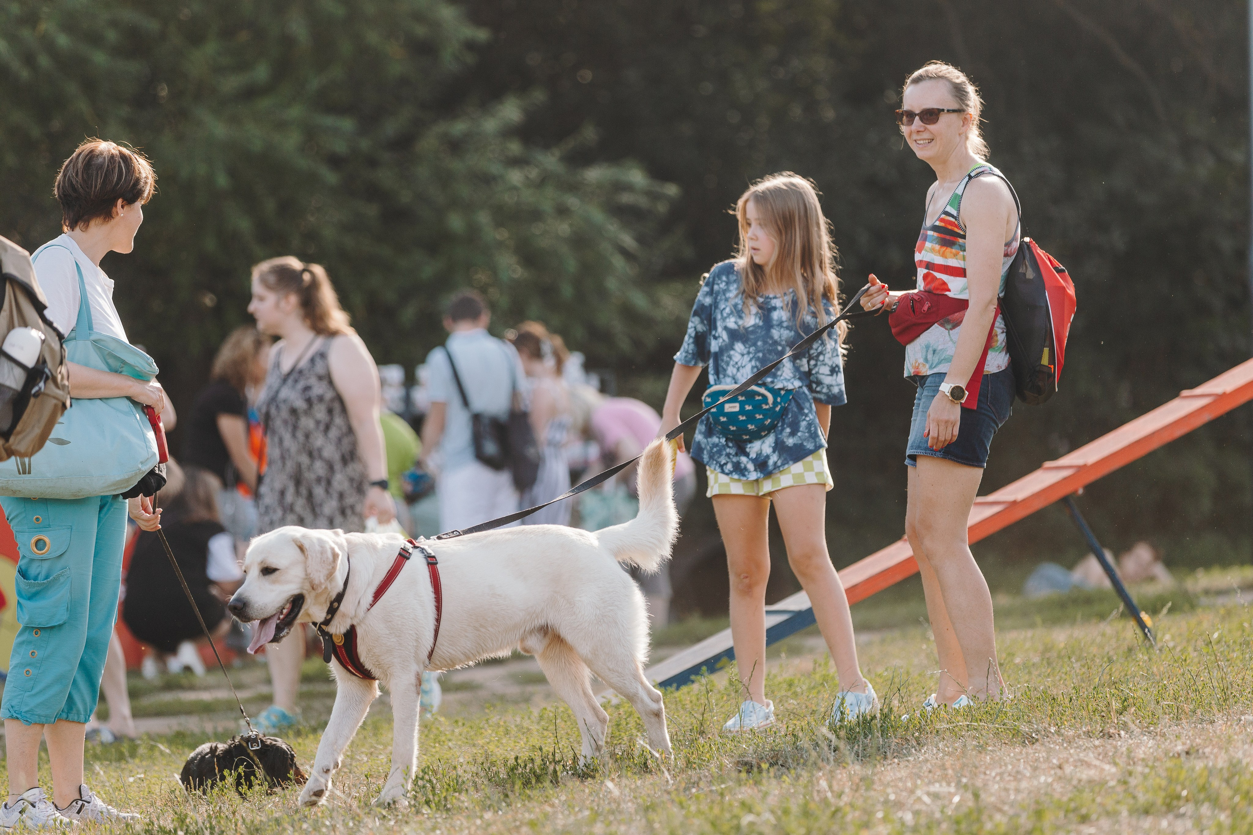 Petshop Sup day. Фотограф анималист Кристина Карпова, Москва