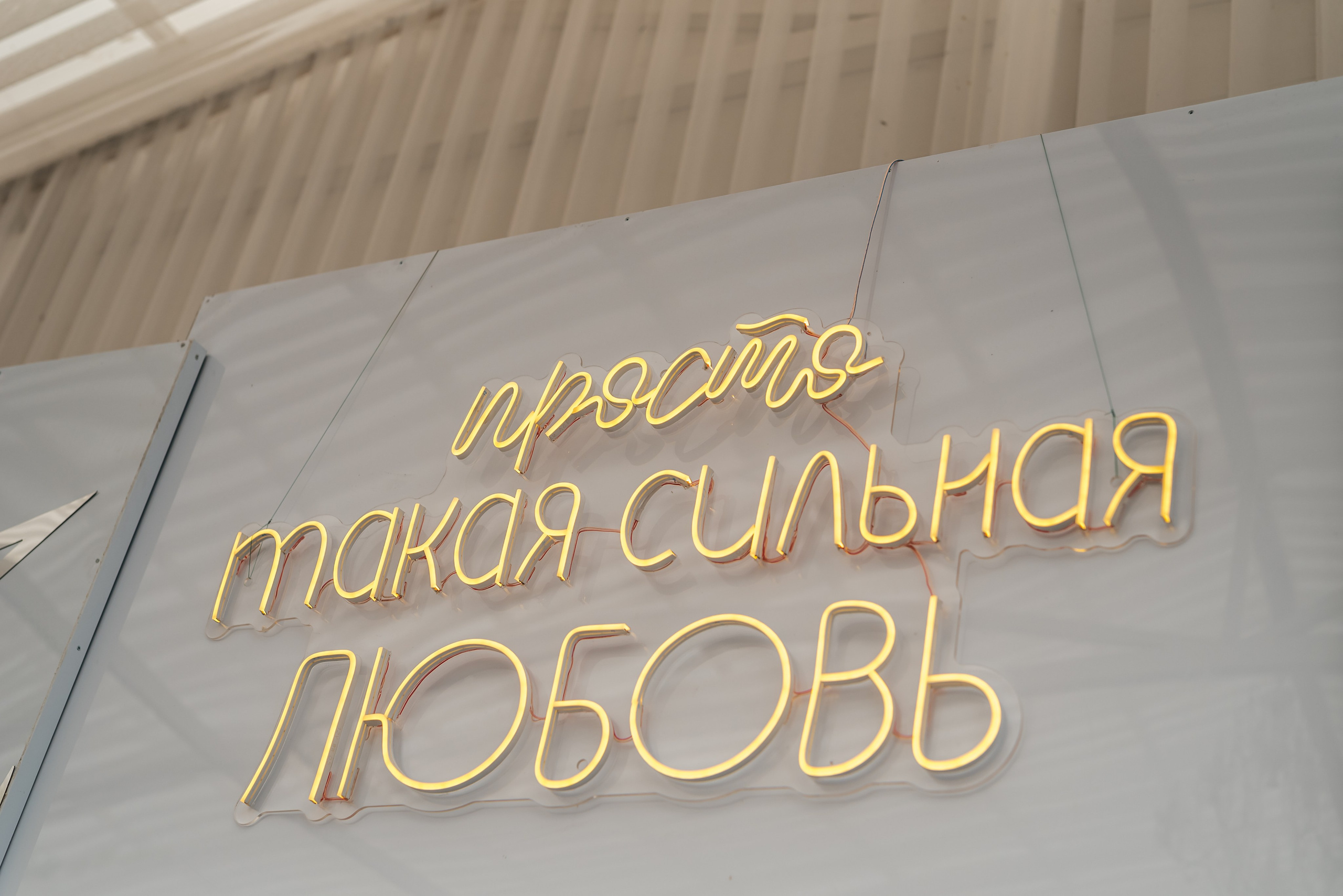 Валерий и Алина. Фотограф в Москве Елена Брюханова