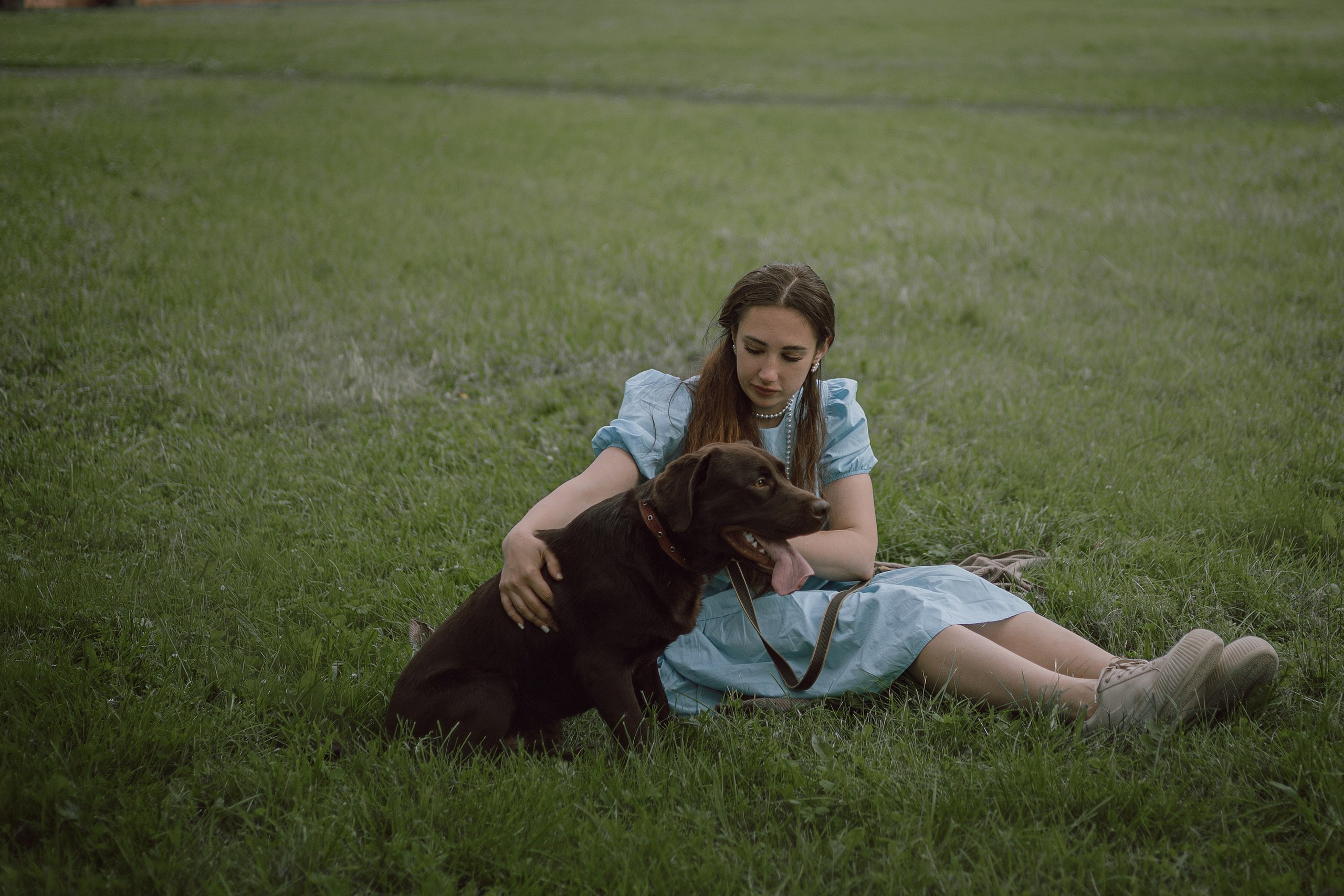 Оля и шоколадный Тимофей. Фотограф — анималист •love-story•|Санкт-Петербург