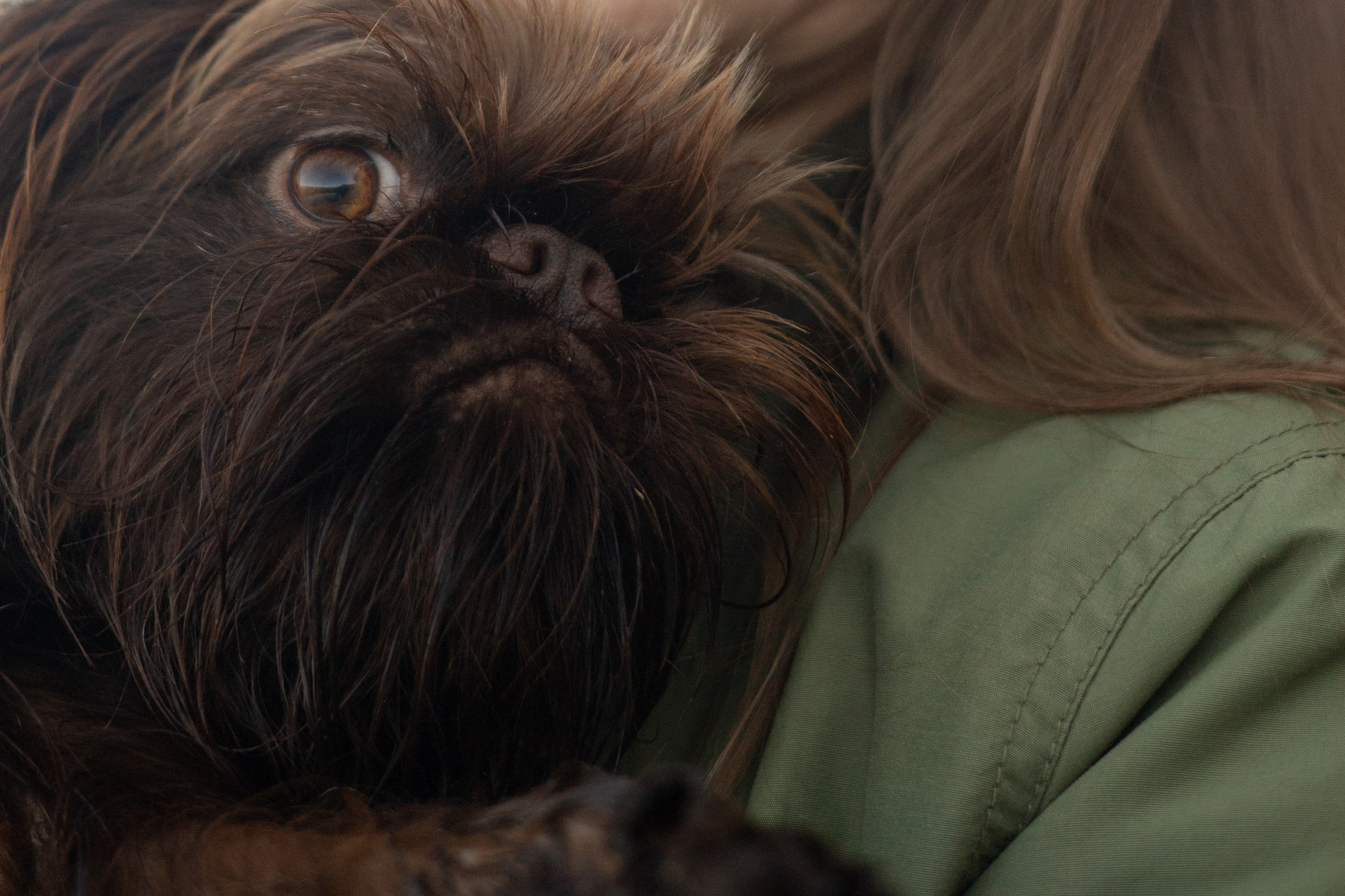 Катерина & Лунка. Фотограф — анималист •love-story•|Санкт-Петербург