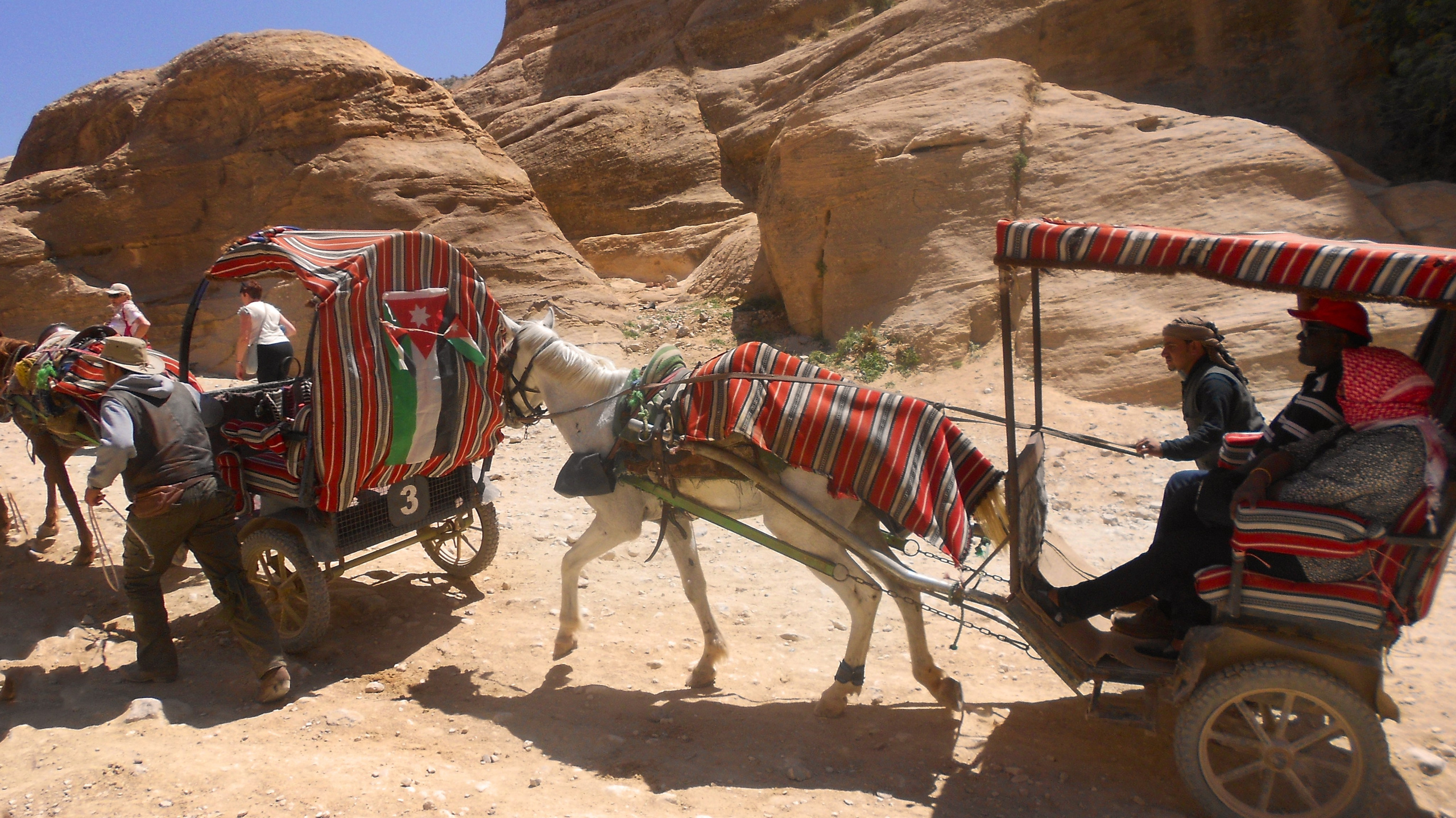 Фотограф Инна Степанова, Орел