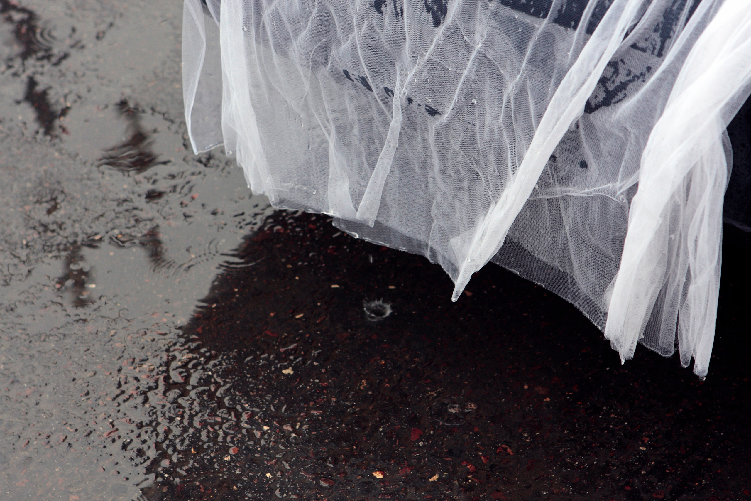 Катя и Илья. Фотограф Лагутин Анатолий