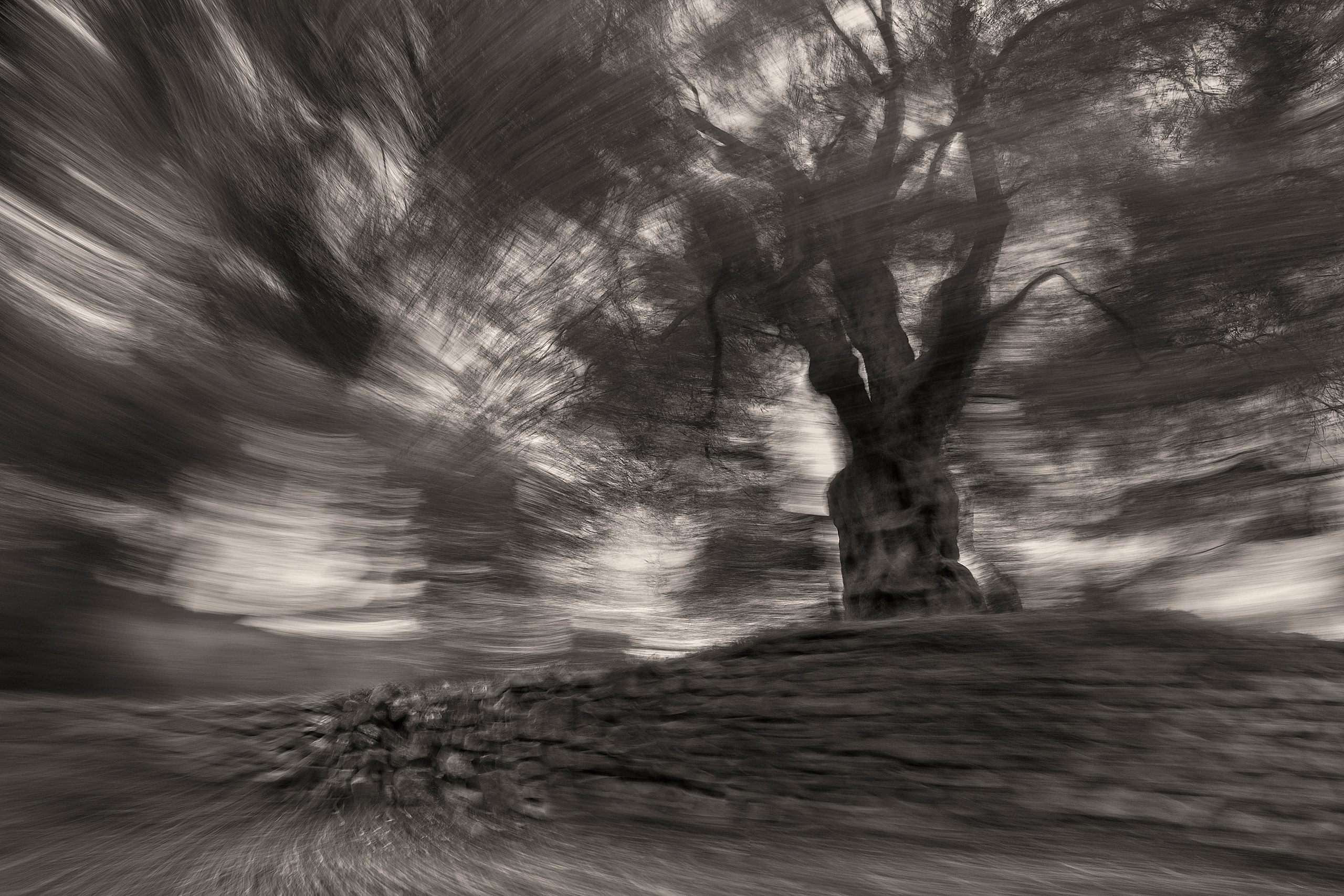 Выдержка. Фотограф Лагутин Анатолий