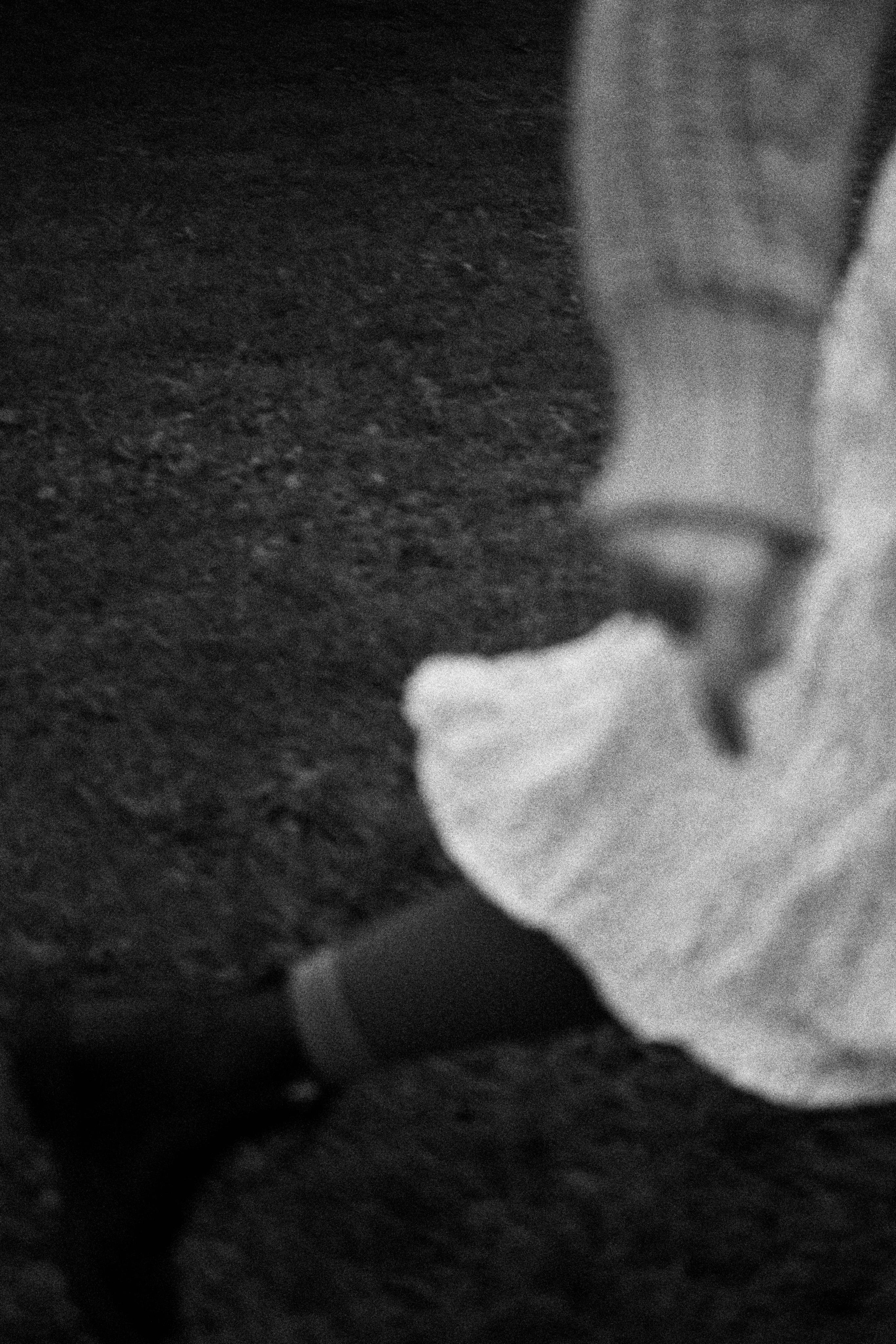 Осенняя зарисовка. Alinsmv