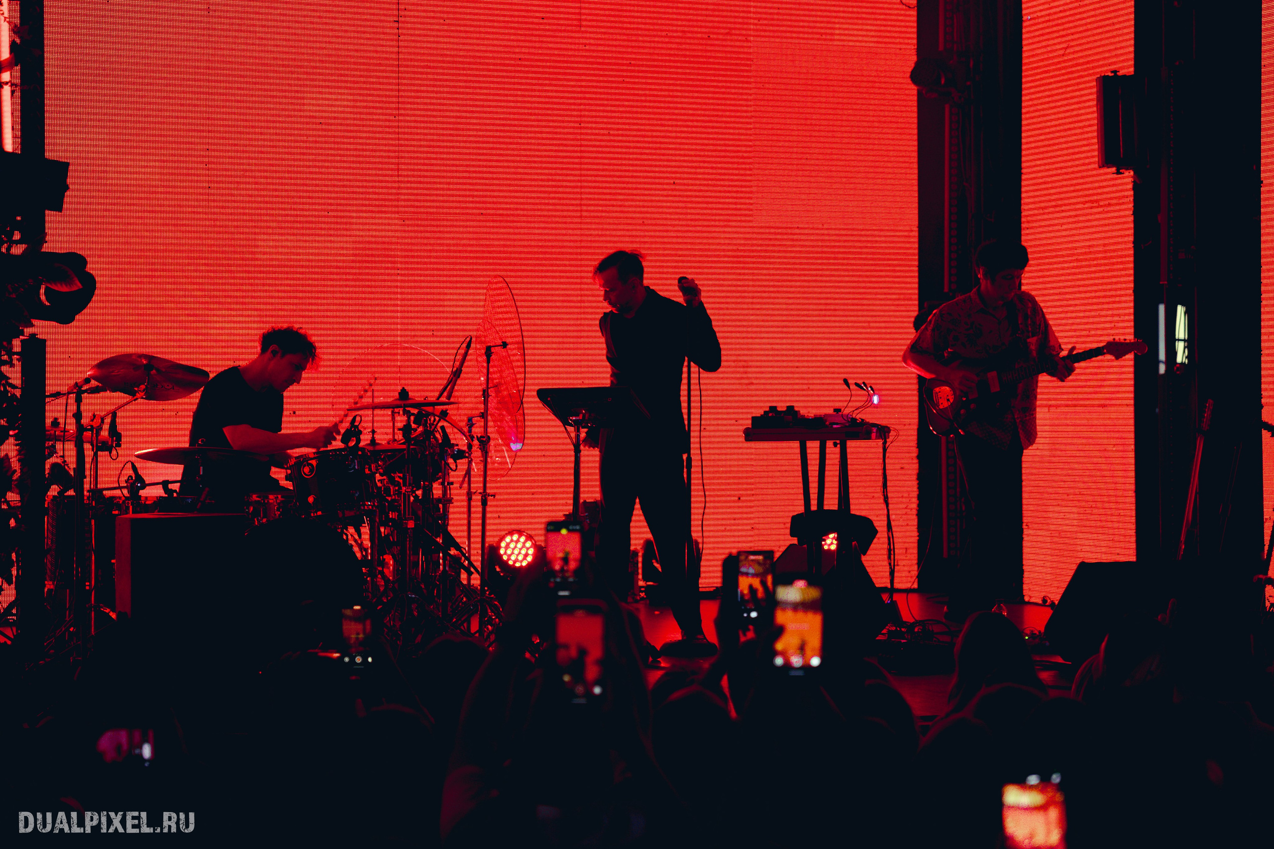 Дельфин. Магия музыки в кадре: Концертная Фотография