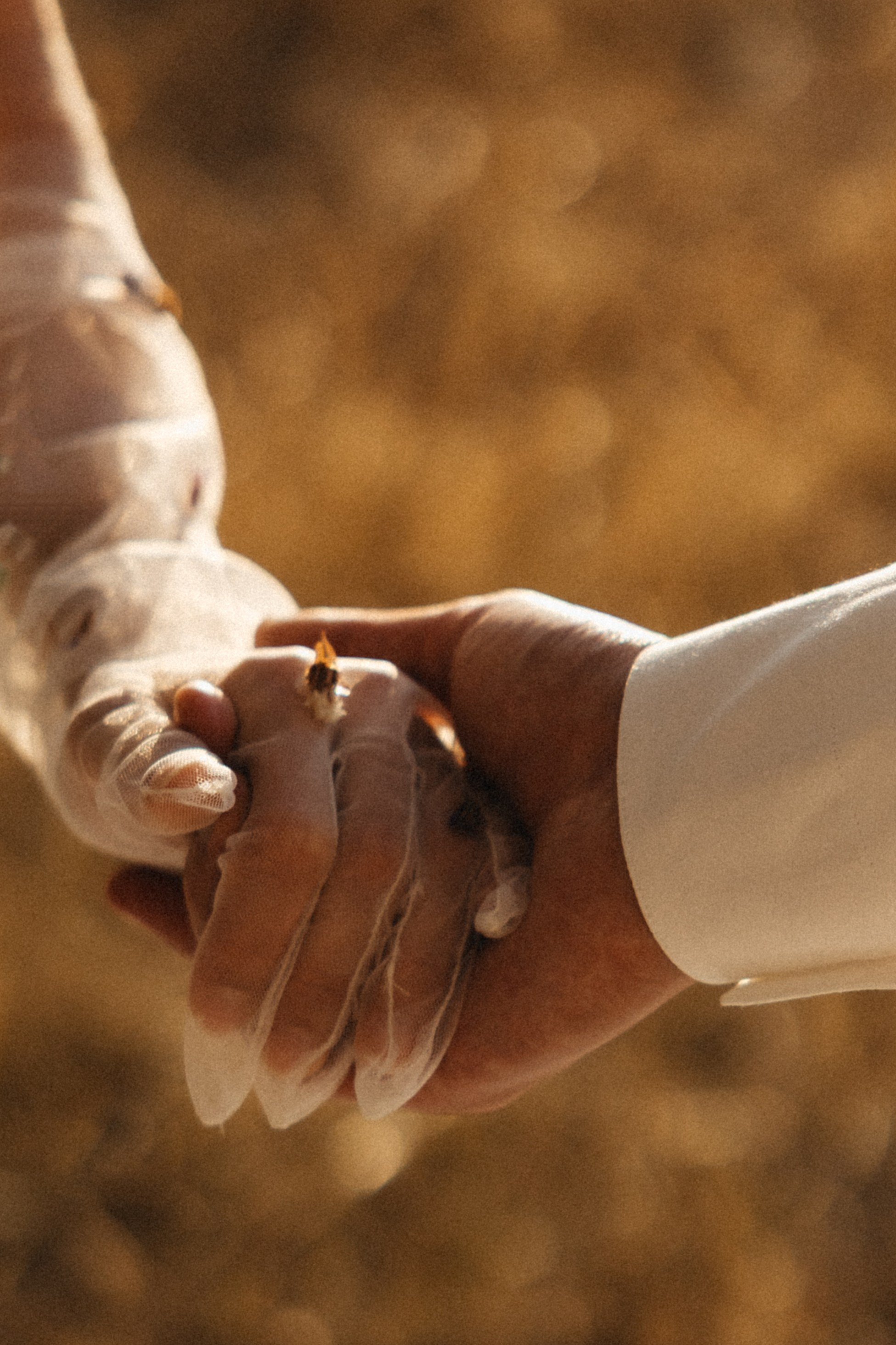 Шепот трав. Свадебный и семейный фотограф и видеограф, Крым, Москва, Санкт -Петербург