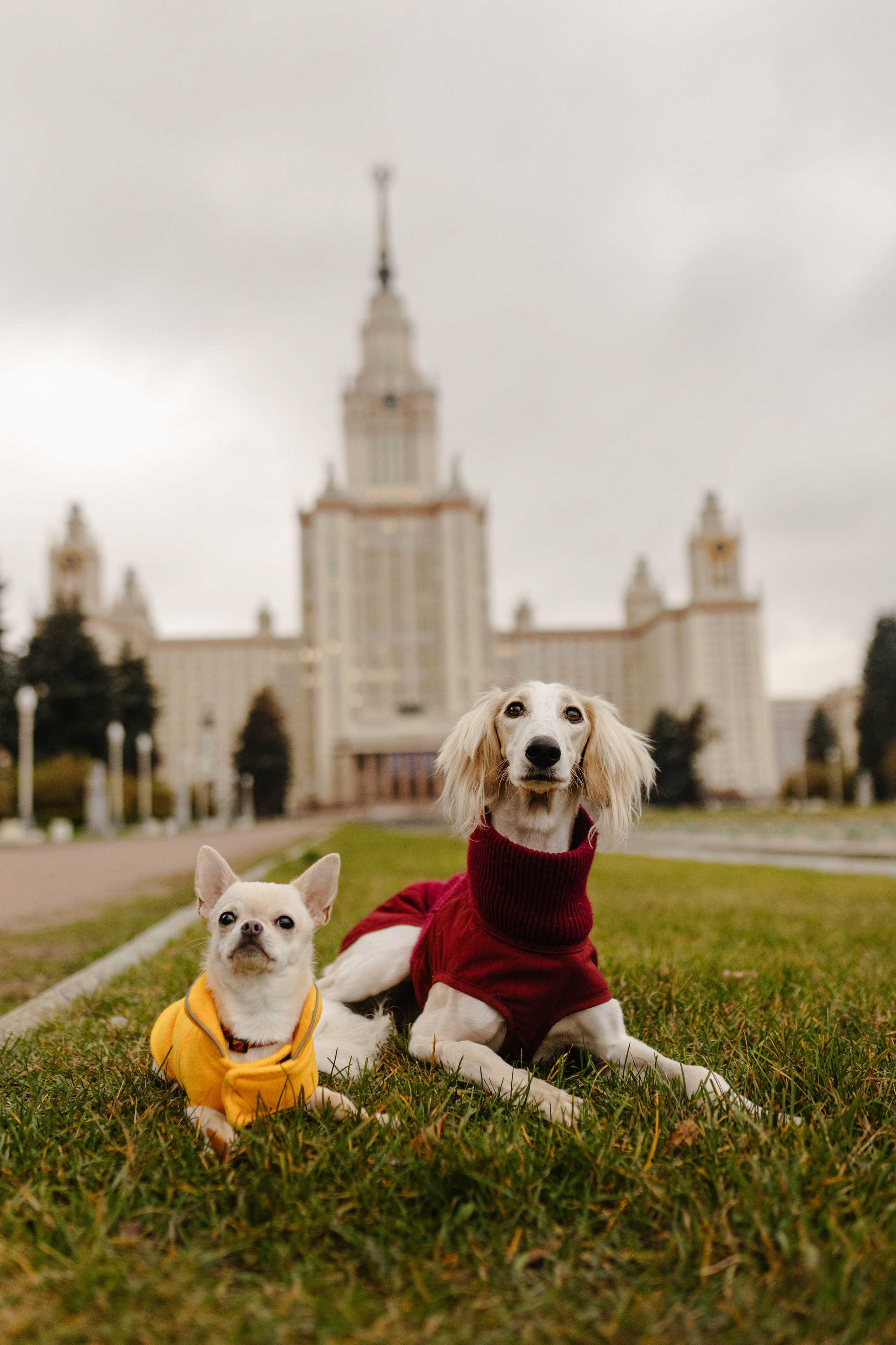 Москва / Марина и Лира, Полина и Деймон. Фотограф Кузина Вера