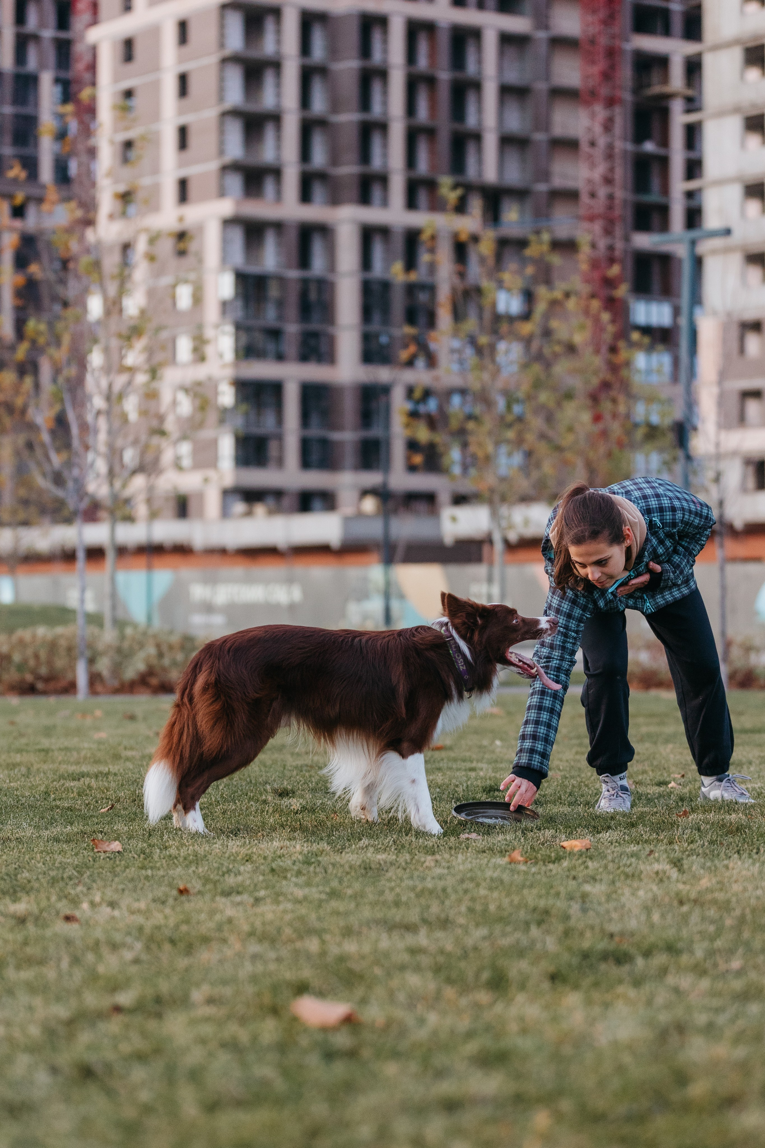 Маша и Тори. Фотограф — анималист Светлана Кысса|фотограф собак в Краснодаре и Нижнем Новгороде