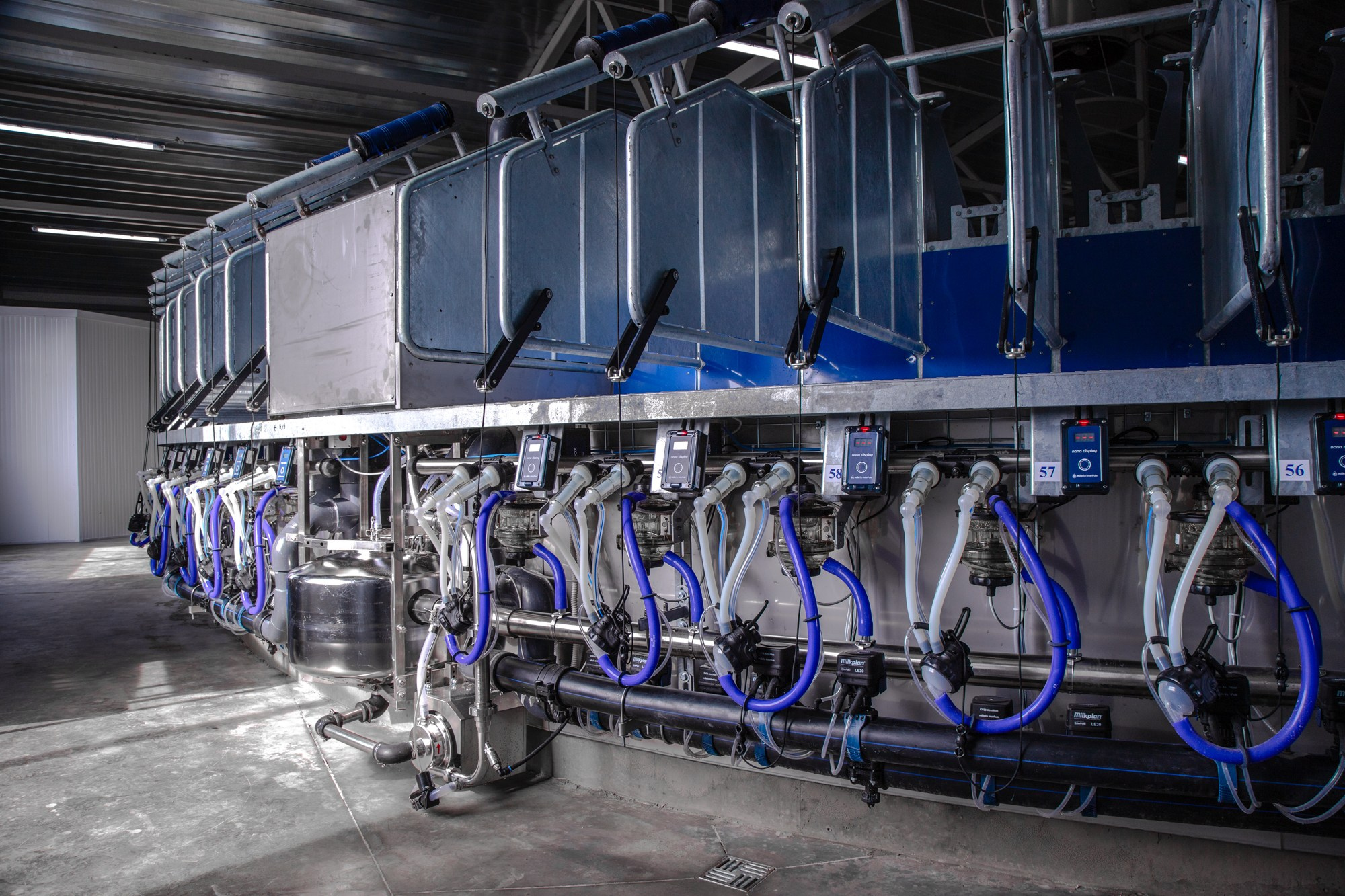 Открытие карусели для дойки скота. Репортажный, промышленный и маркетплейс-фотограф Дмитрий Чернат