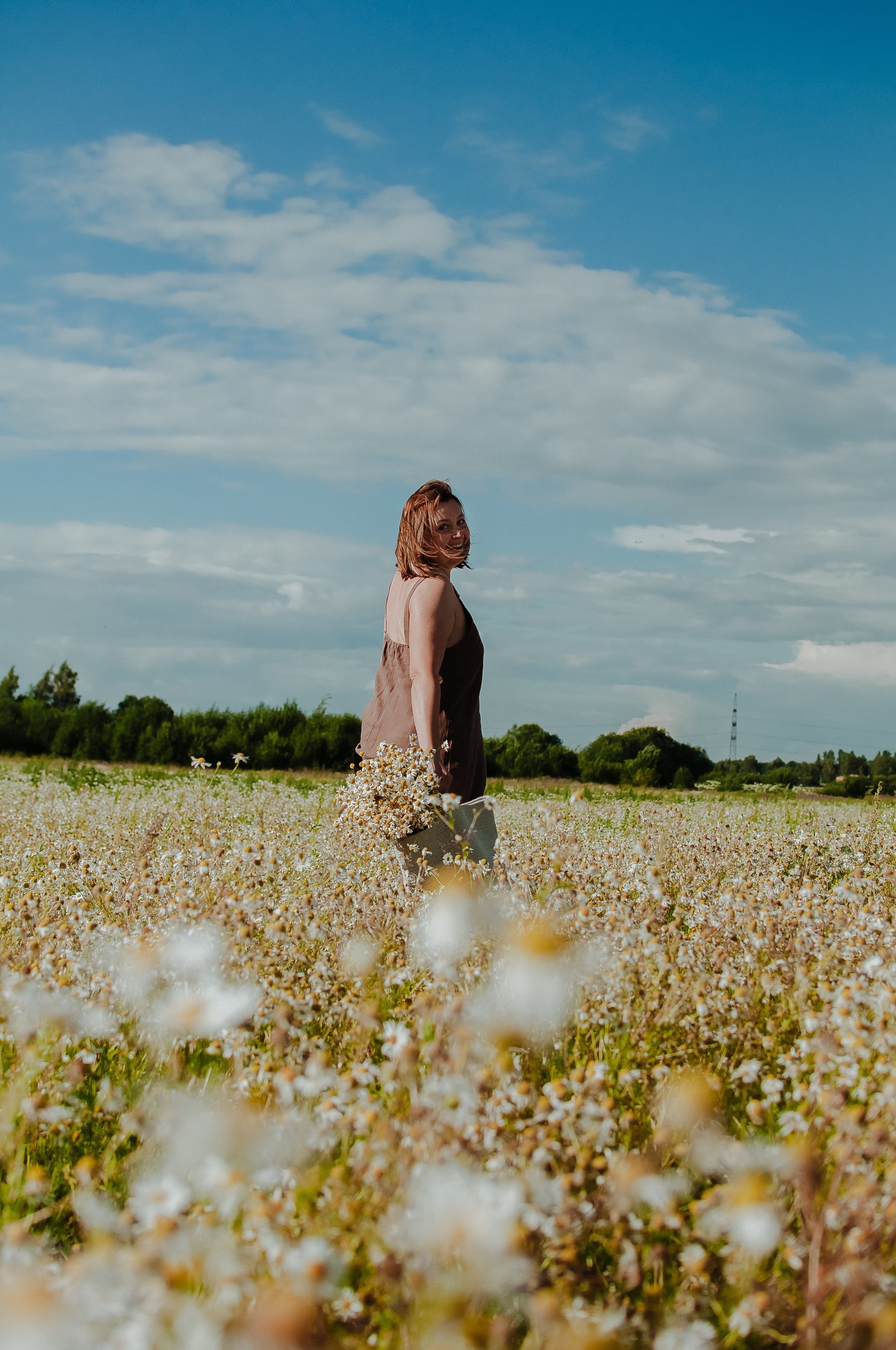 Привет ромашки