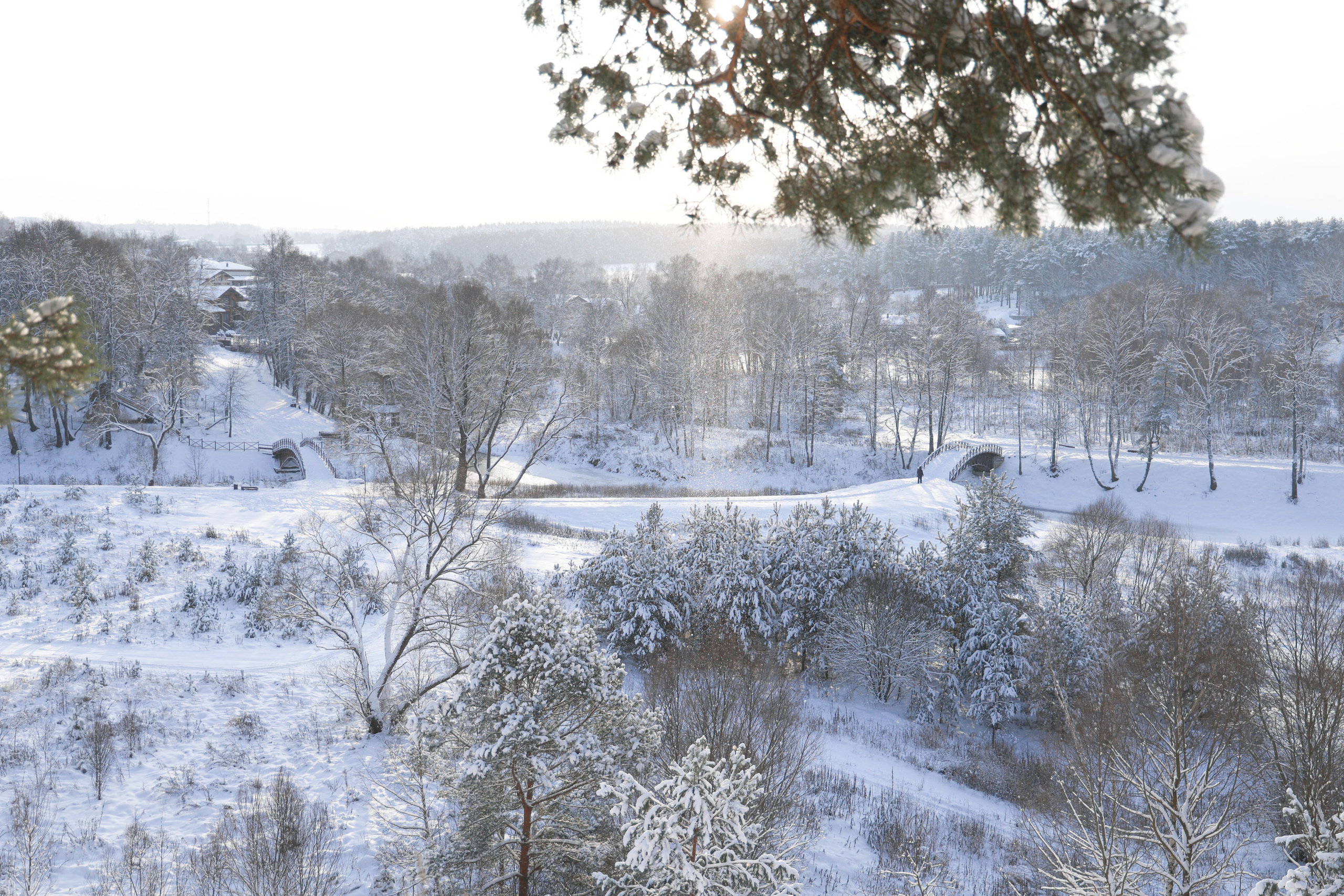 Рождествено Зима 2026. Фотограф Максим Татаринов