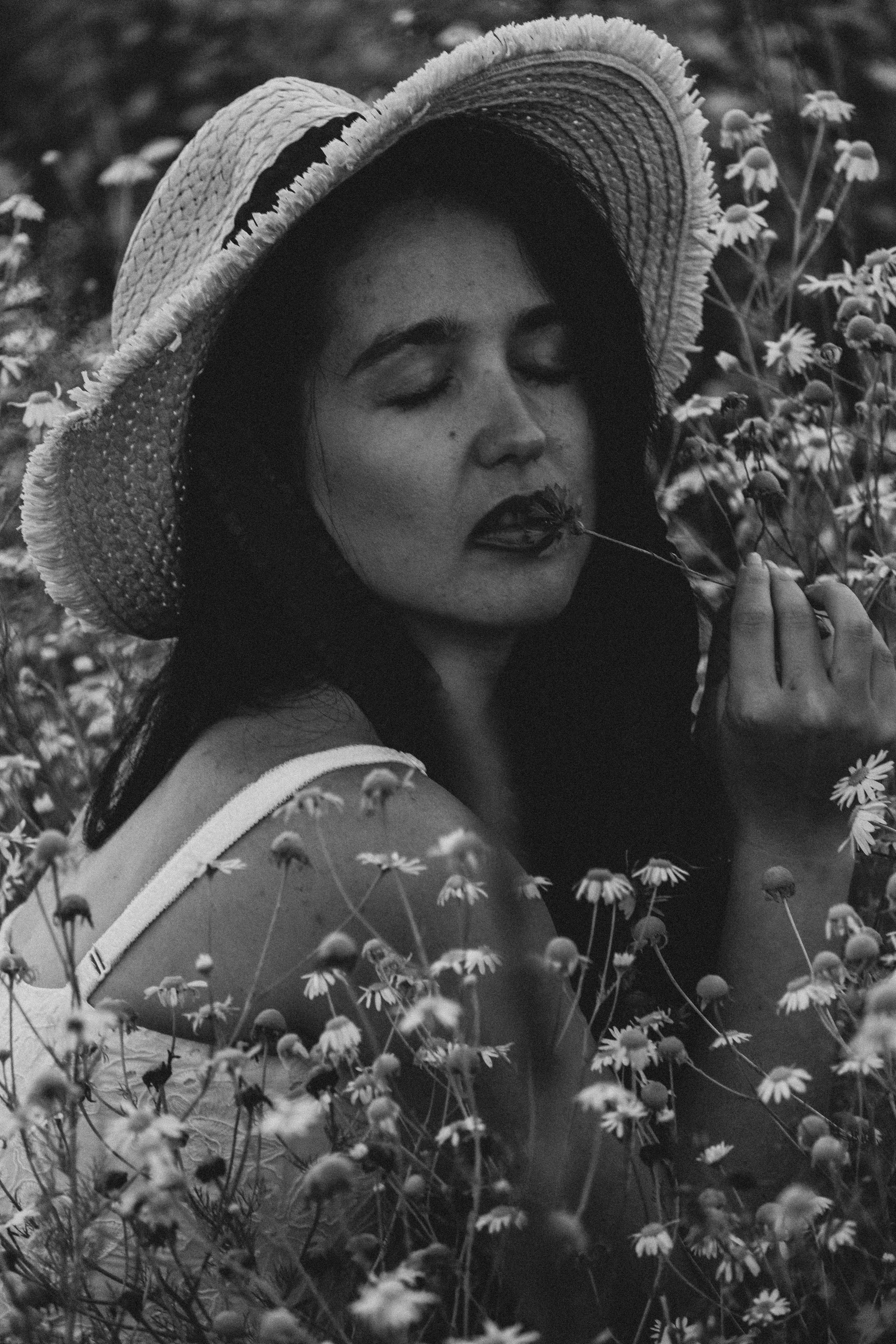 Ромашковое поле. Профессиональный фотограф, Санкт-Петербург — Виктория Богомолова