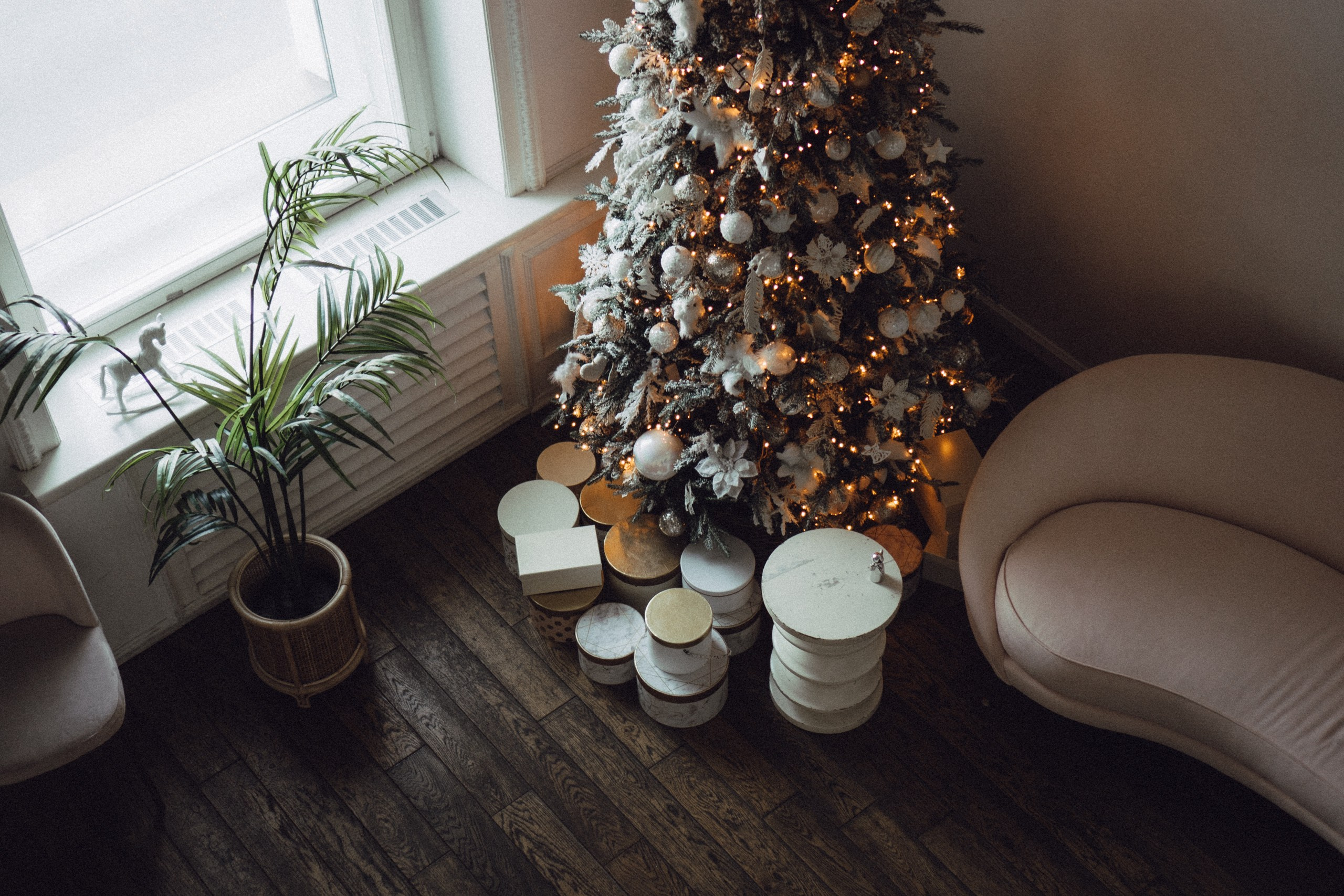 Новогодний стиль. Профессиональный фотограф, Санкт-Петербург — Виктория Богомолова