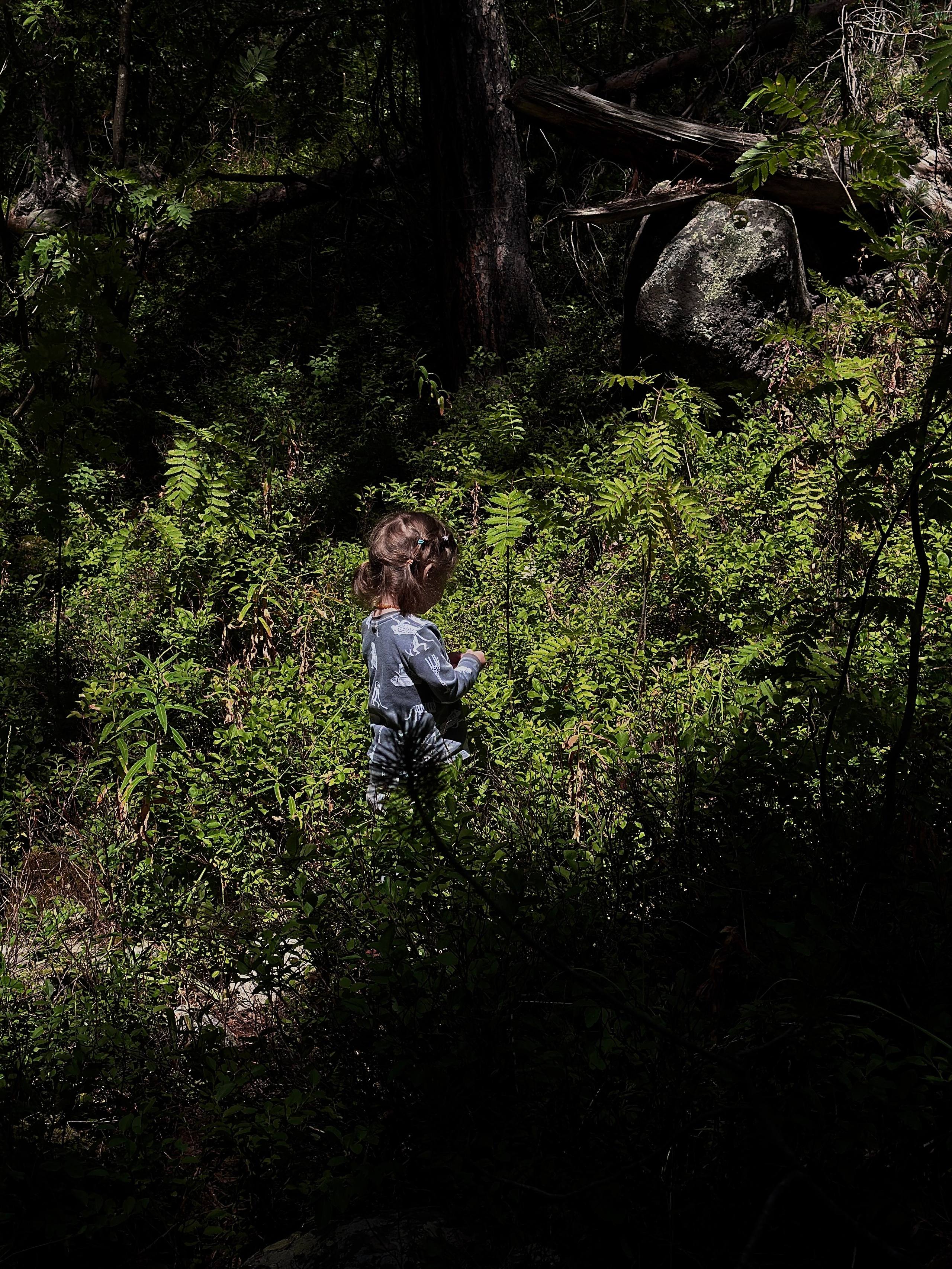 Дети. Смотри, красота!