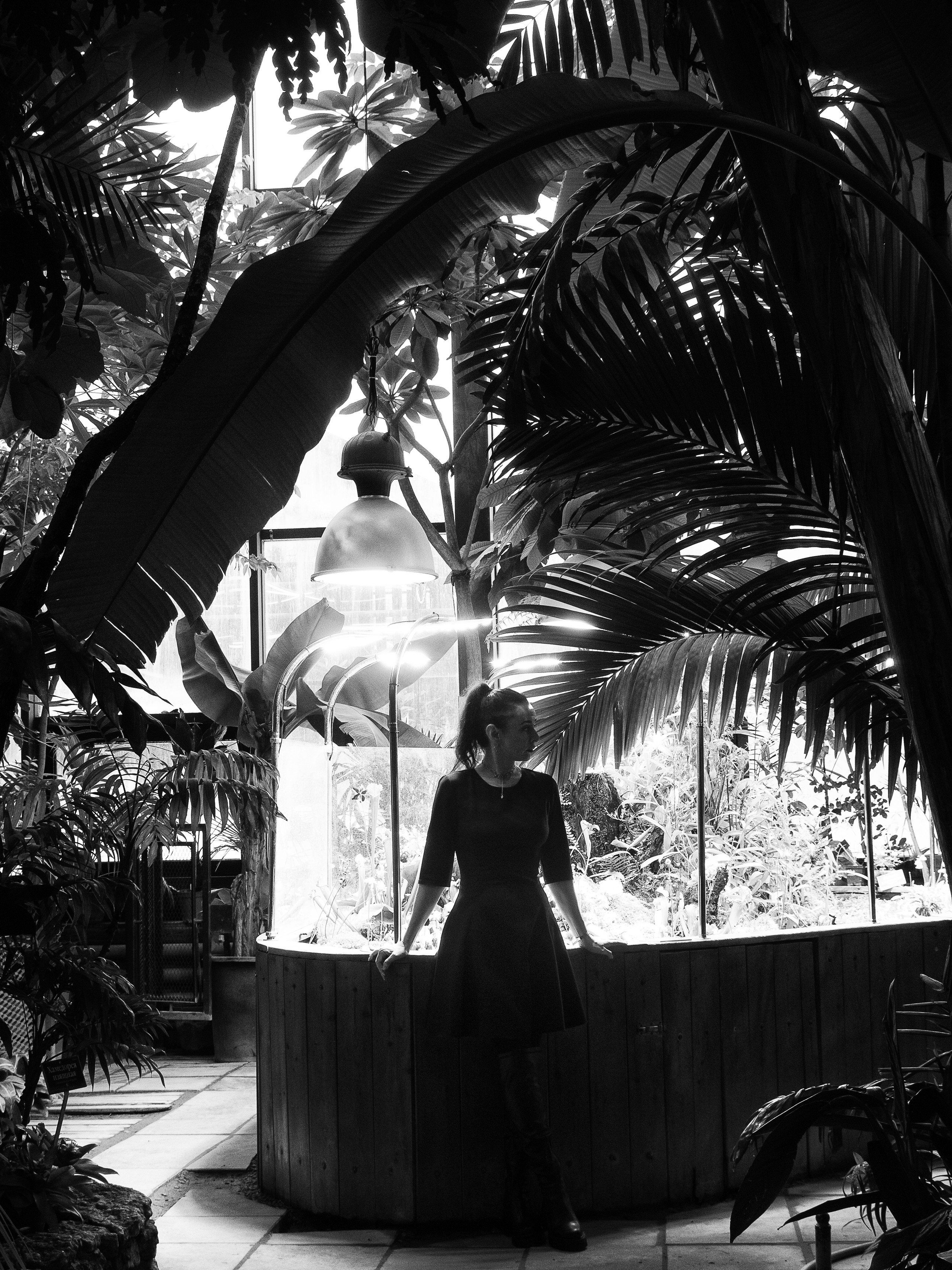 Галерея. Фотопроект Olympus