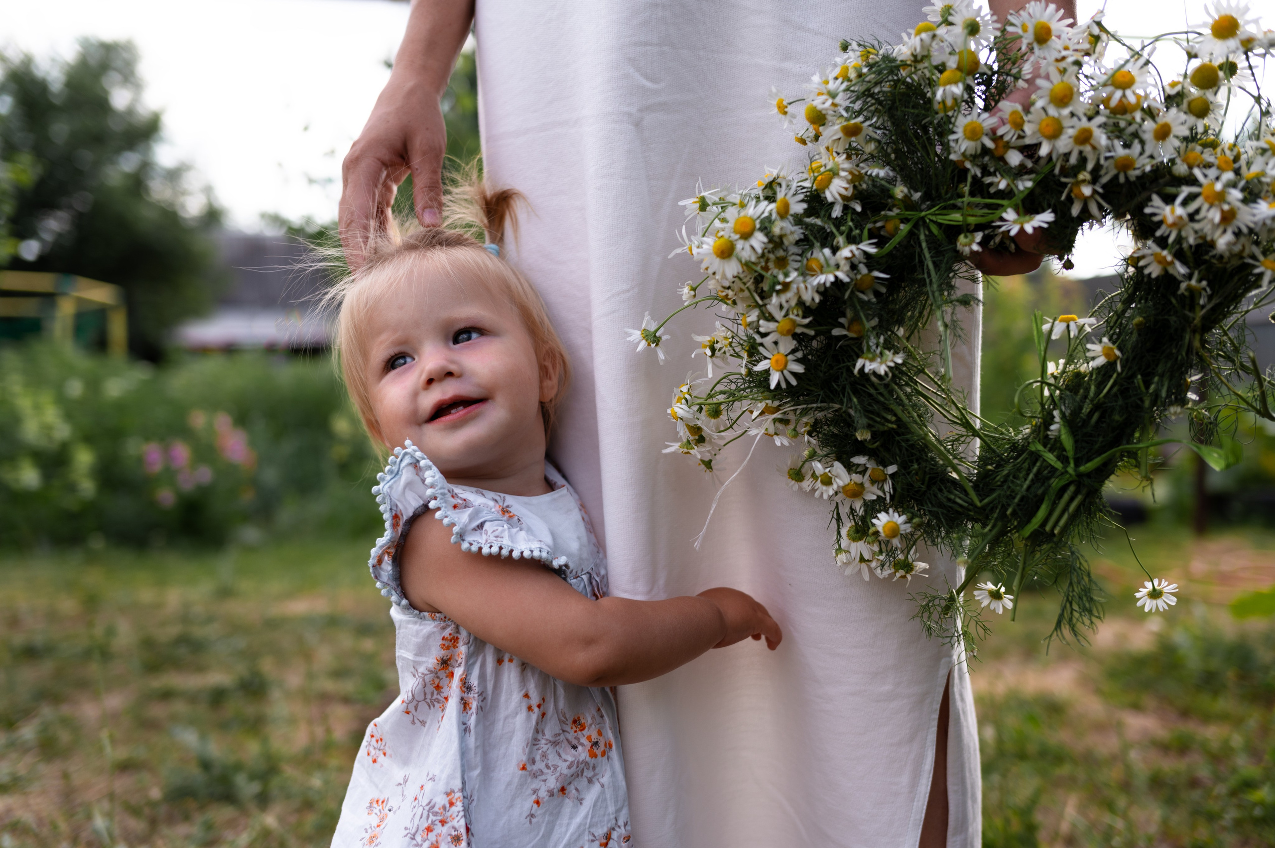 Ромашки и утята. Главная
