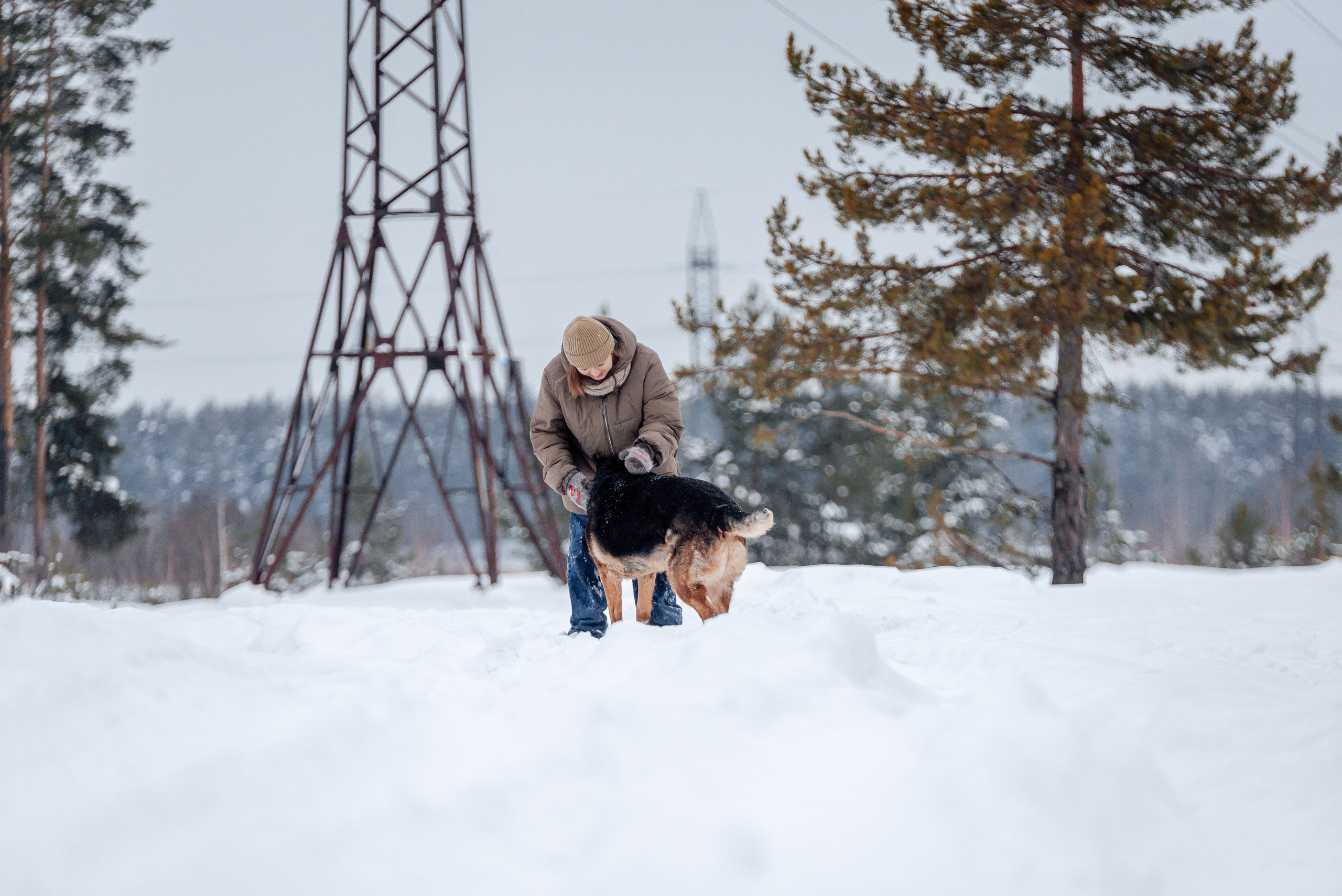 Светлана, Альфа и кошки ✨. Фотограф-анималист Анастасия Парфенова|Екатеринбург