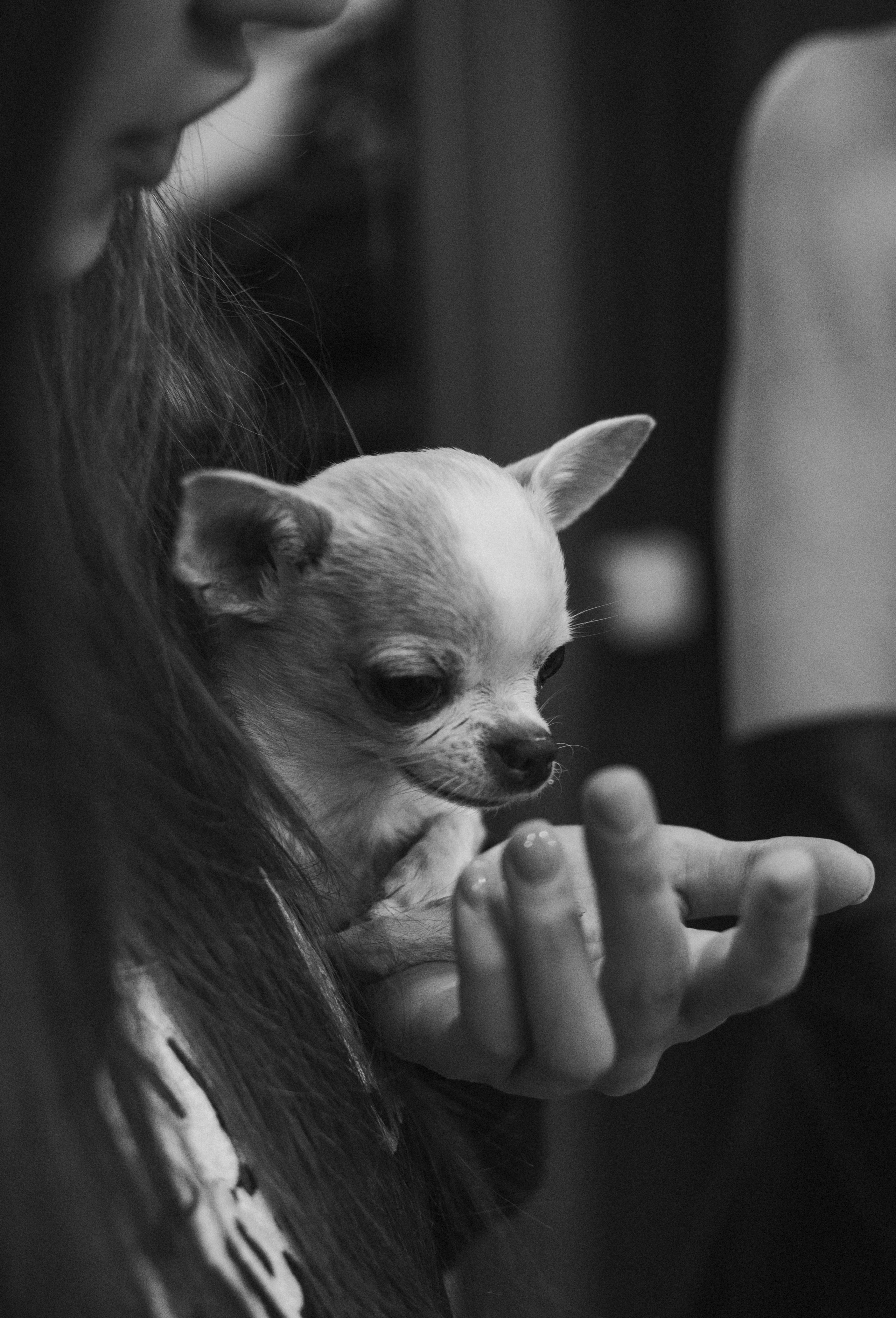 Открытие Шоурума. Портретный фотограф в Минске