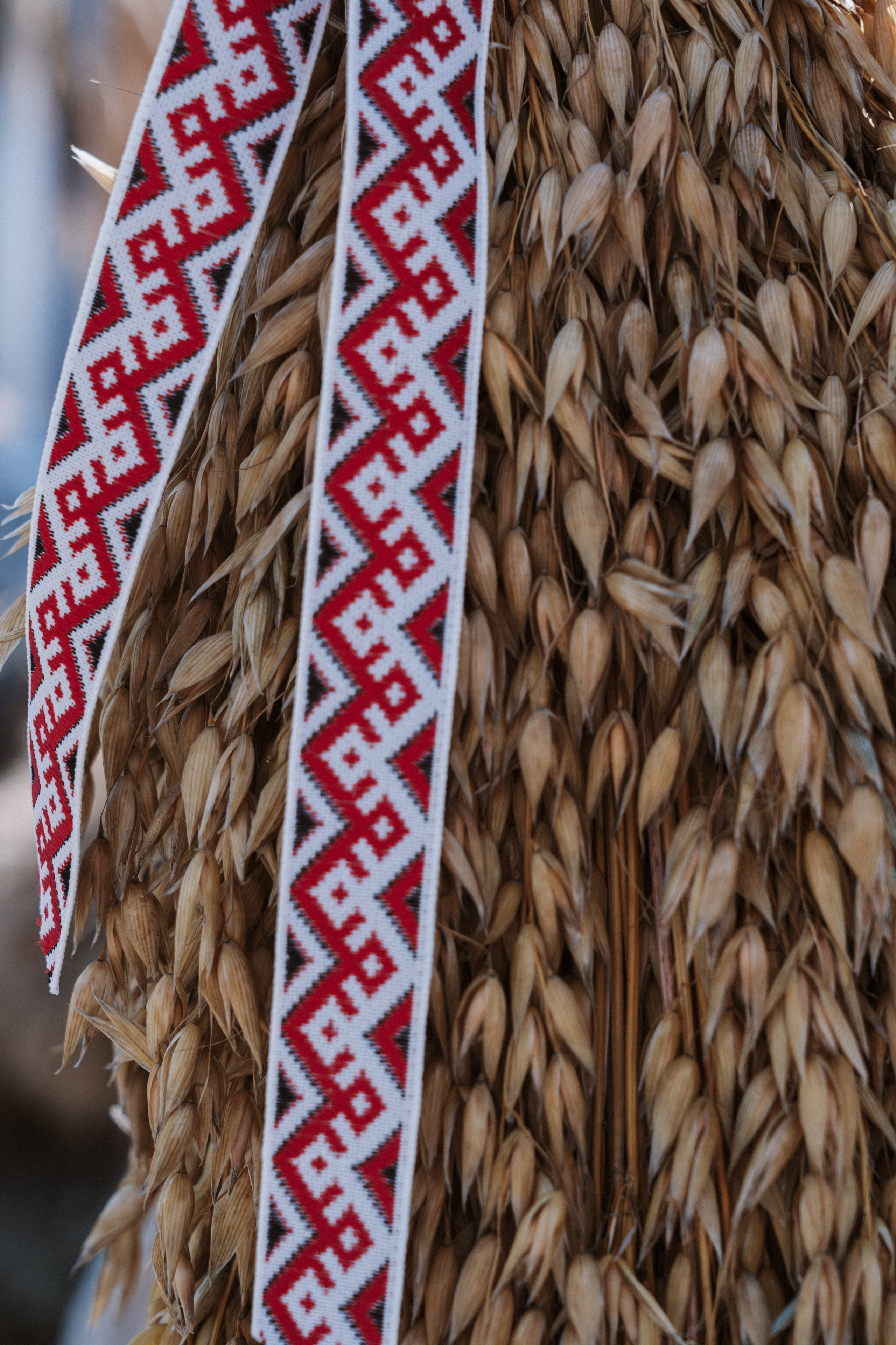 Межрегиональный гастрофестиваль. Фото и видеосъемка в Йошкар-Оле и Москве. (Фотограф и видеограф в Йошкар-Оле и Москве)