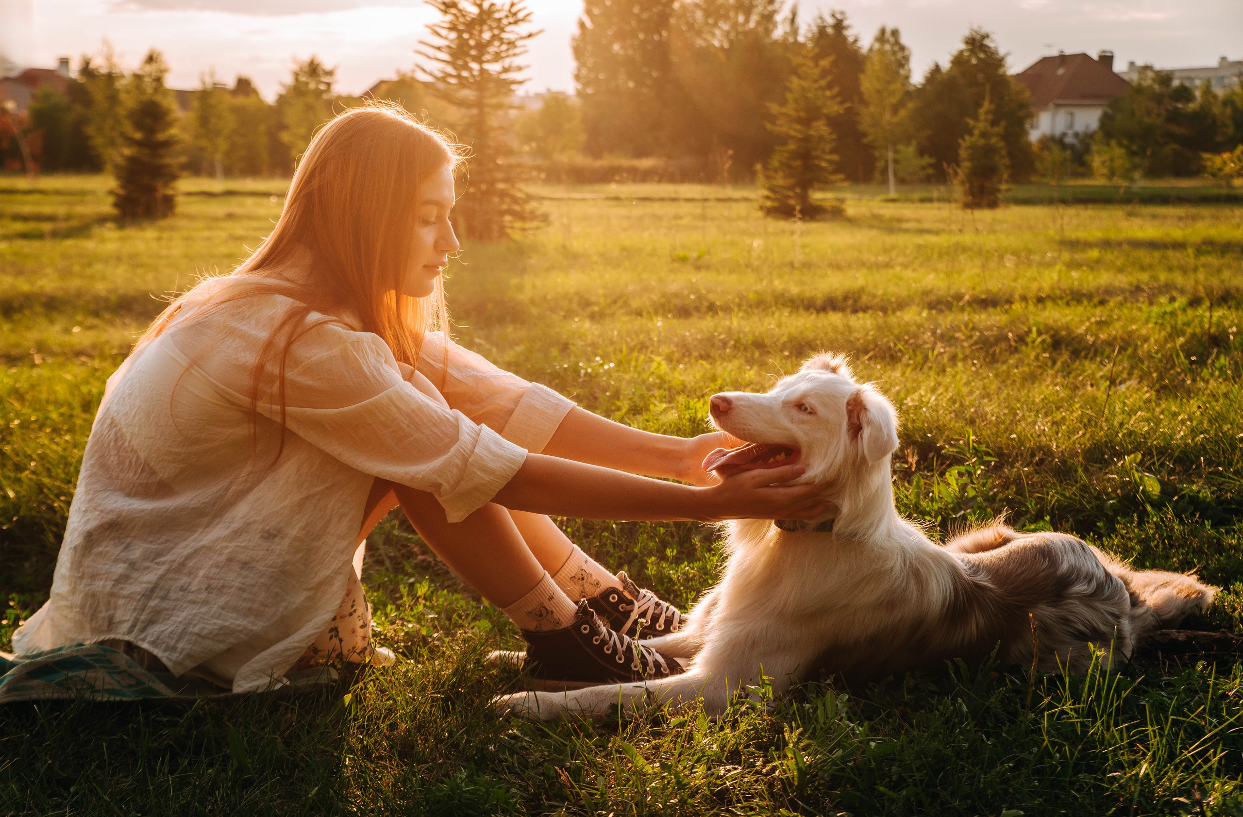 Лиза и Айви. Главная