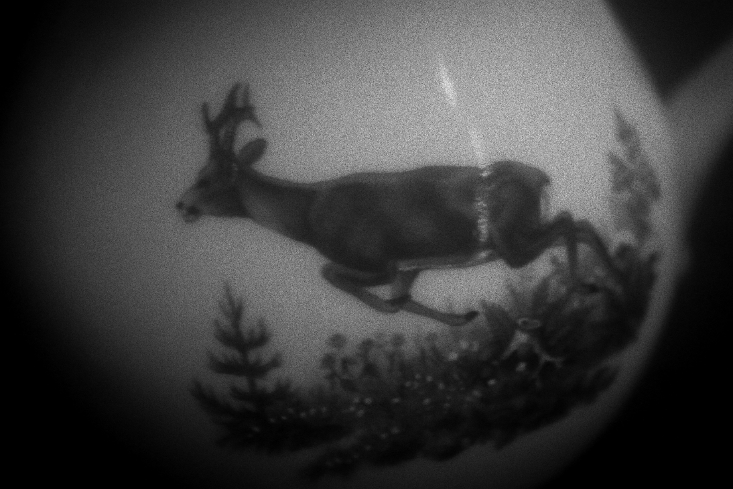 Bardo / Астигматическая ловушка для снов. Роман Ходырев — художник, фотограф, музыкант, эзотериолог. Санкт-Петербург, Рига