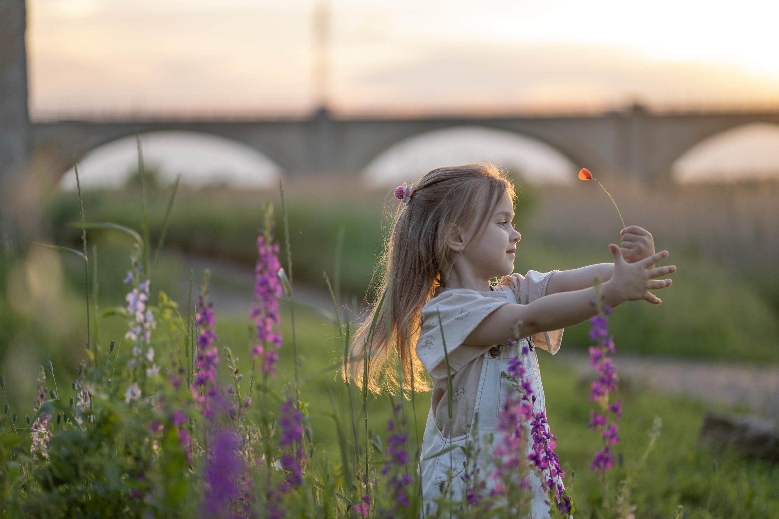 Ромашки и гитара. Семейный и детский фотограф Мария Лютикова