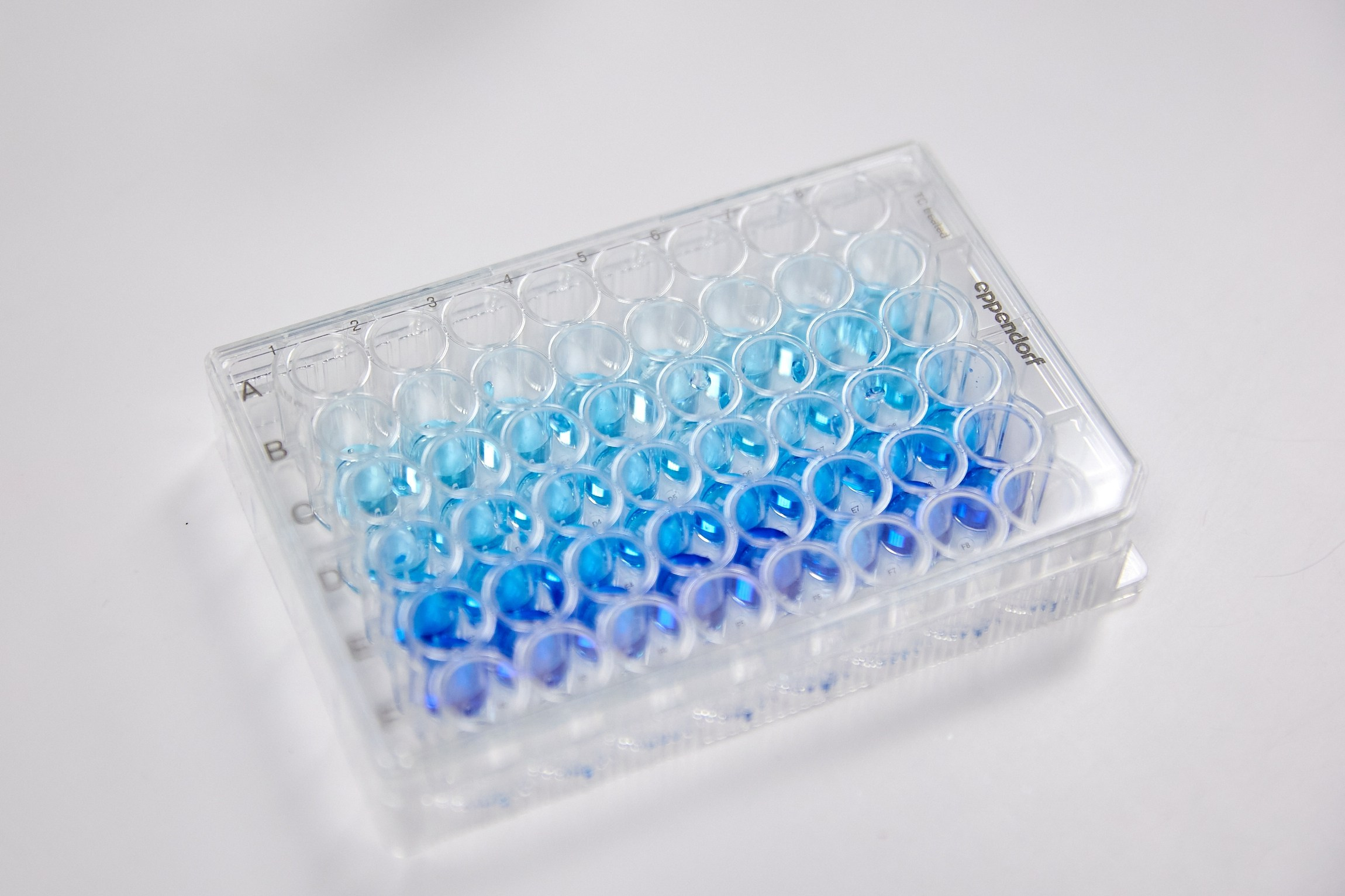 Университетские смены 2025. Репортажный и студийный фотограф во Владивостоке Дударева Софья