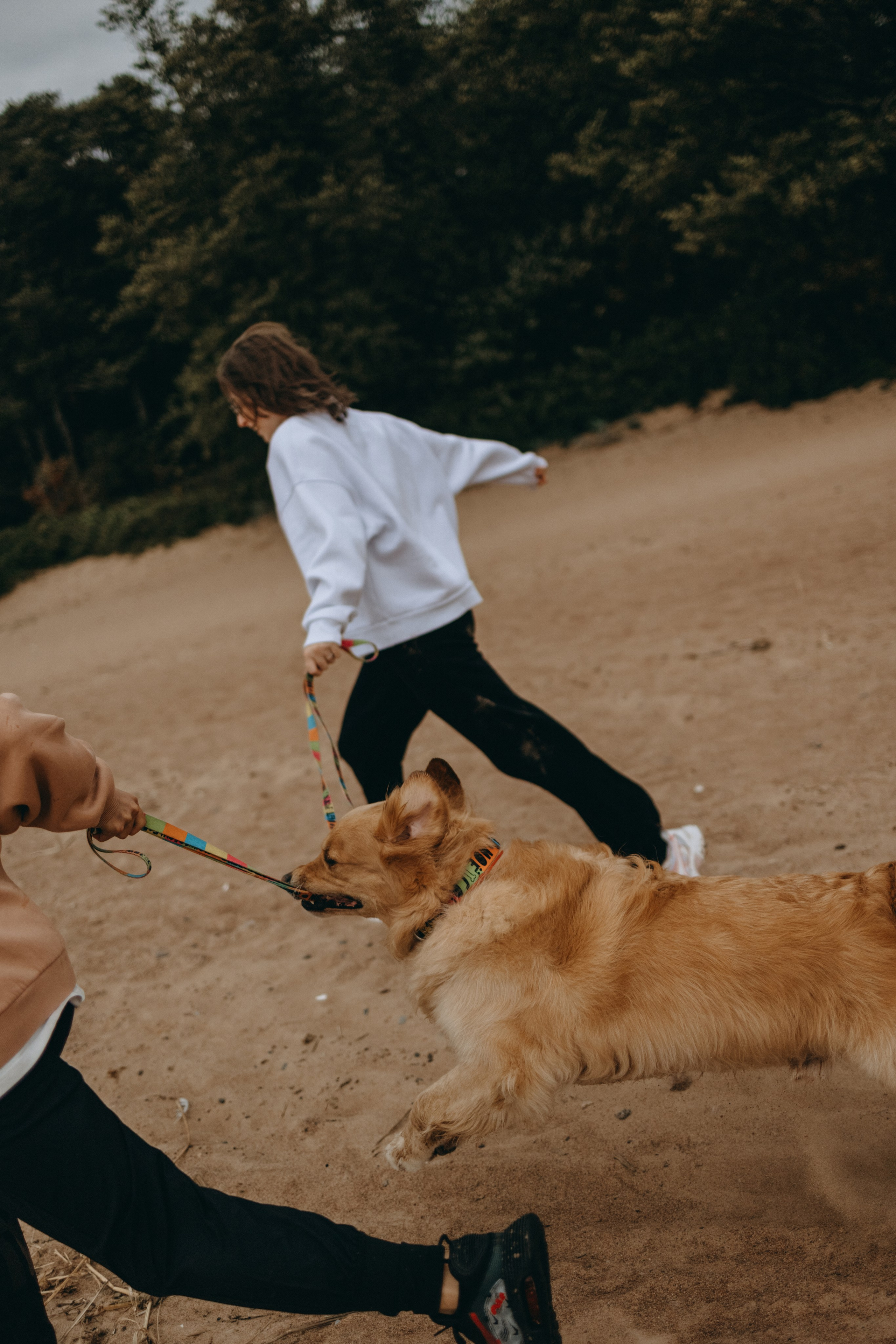 Фоси и его семьи. Фотограф — Анималист | Санкт-Петербург