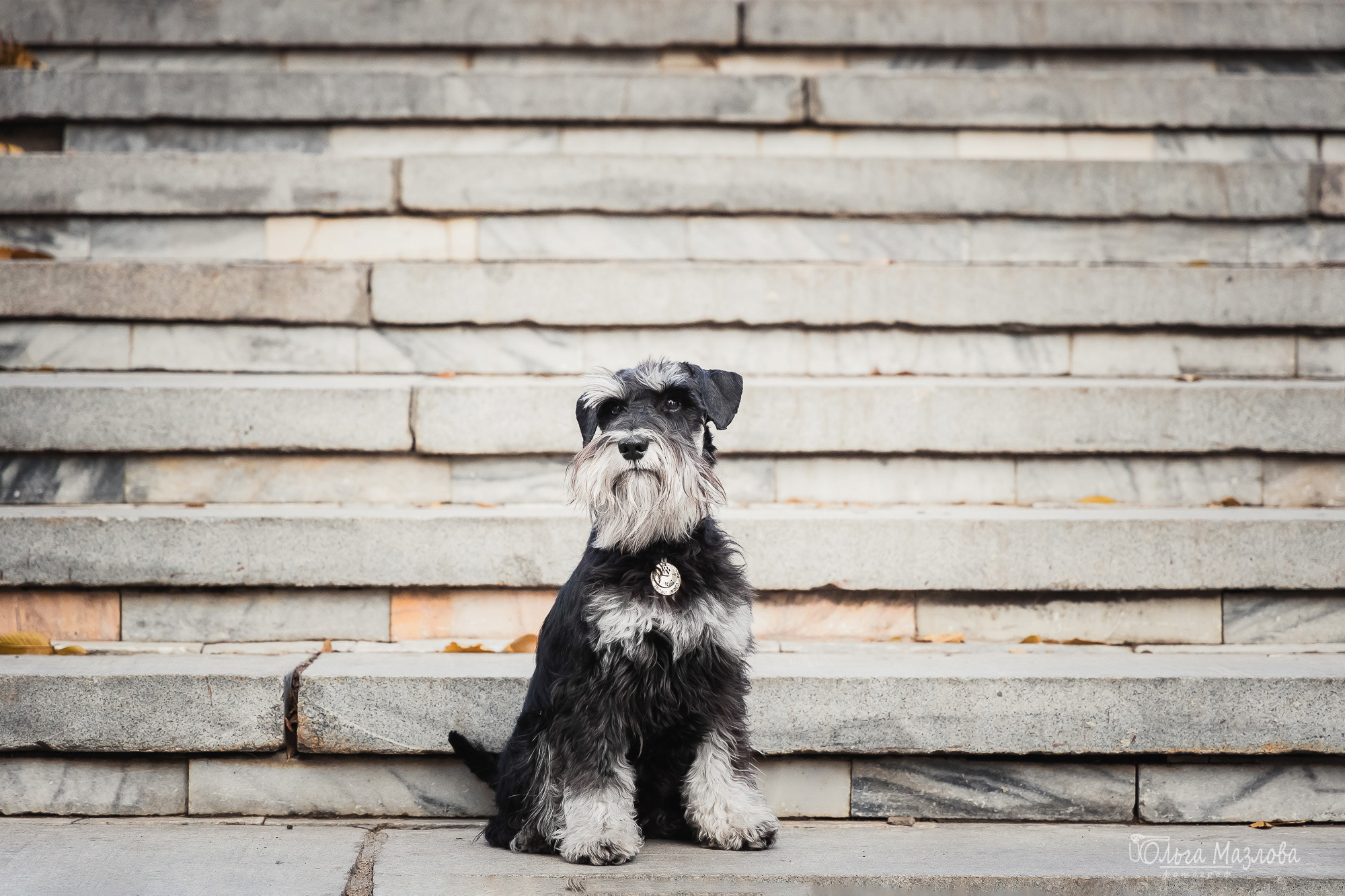 Кристина и Санта. Фотограф в Саратове Ольга Мазлова