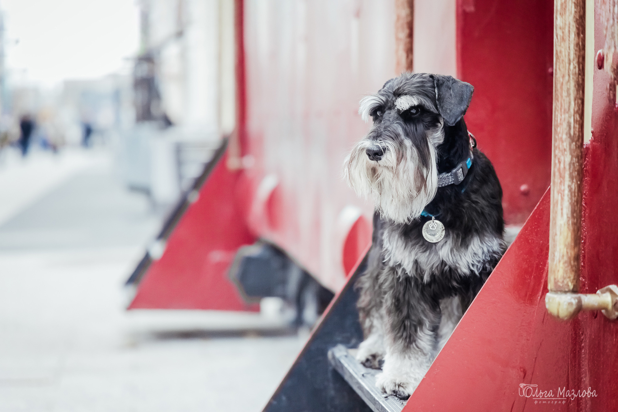 Кристина и Санта. Фотограф в Саратове Ольга Мазлова