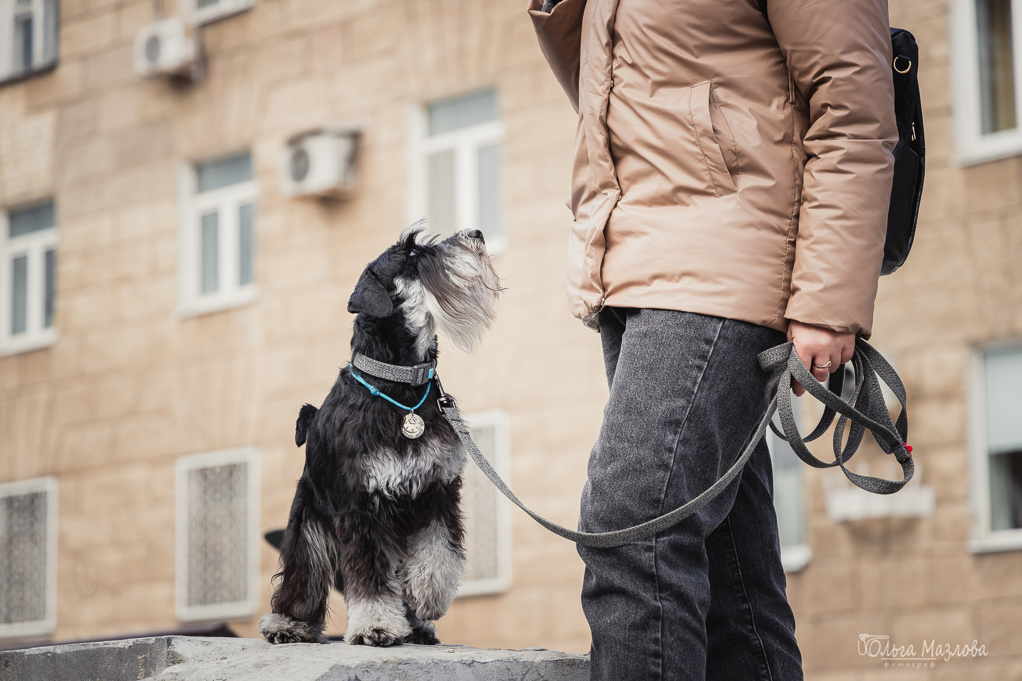 Кристина и Санта. Фотограф в Саратове Ольга Мазлова