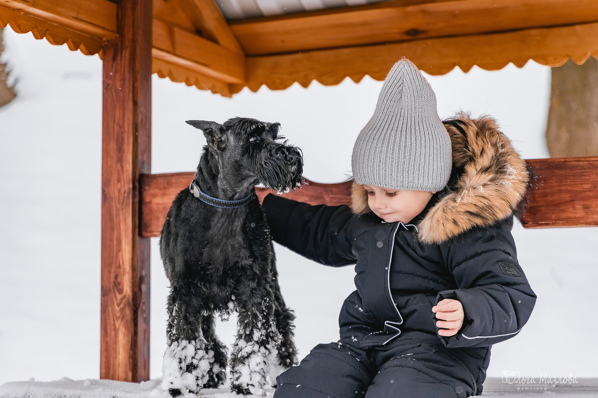 Елена, Федор и Даля. Фотограф в Саратове Ольга Мазлова