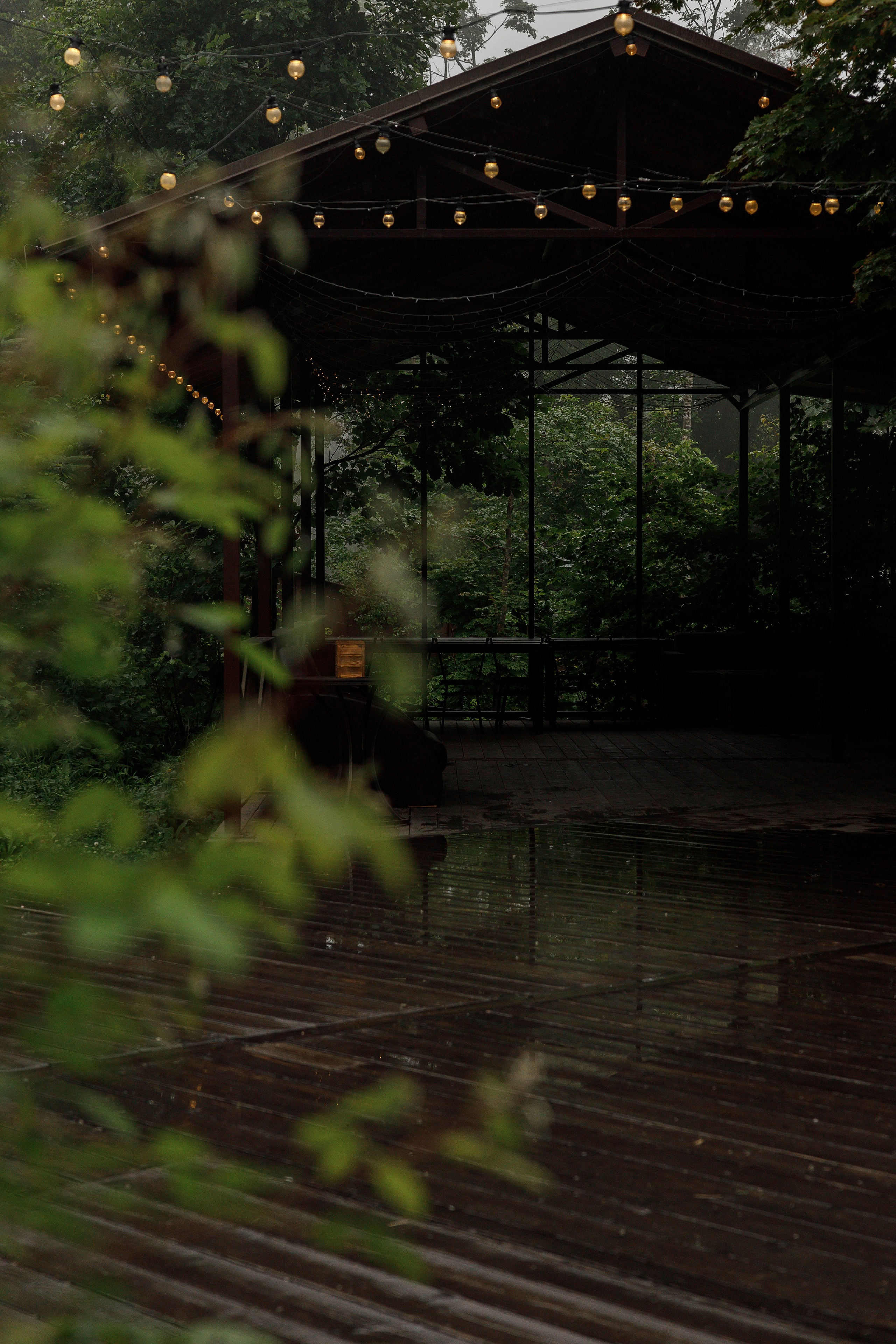 Анастасия и Владислав. Свадебный и семейный фотограф  во Владивостоке Ольга Украинец