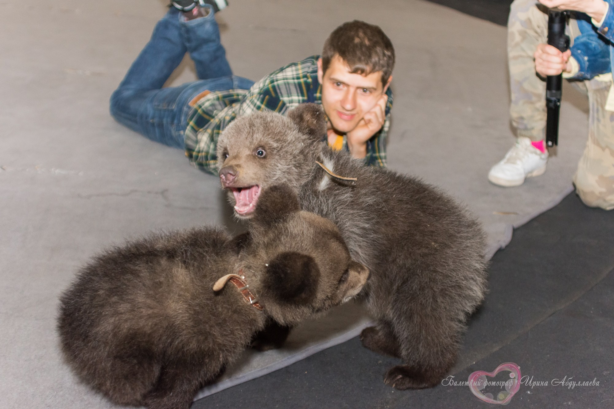 Артист цирка Олег Александров (прогулка -интервью): «Секрет дрессировки — любовь к животным и профессии»