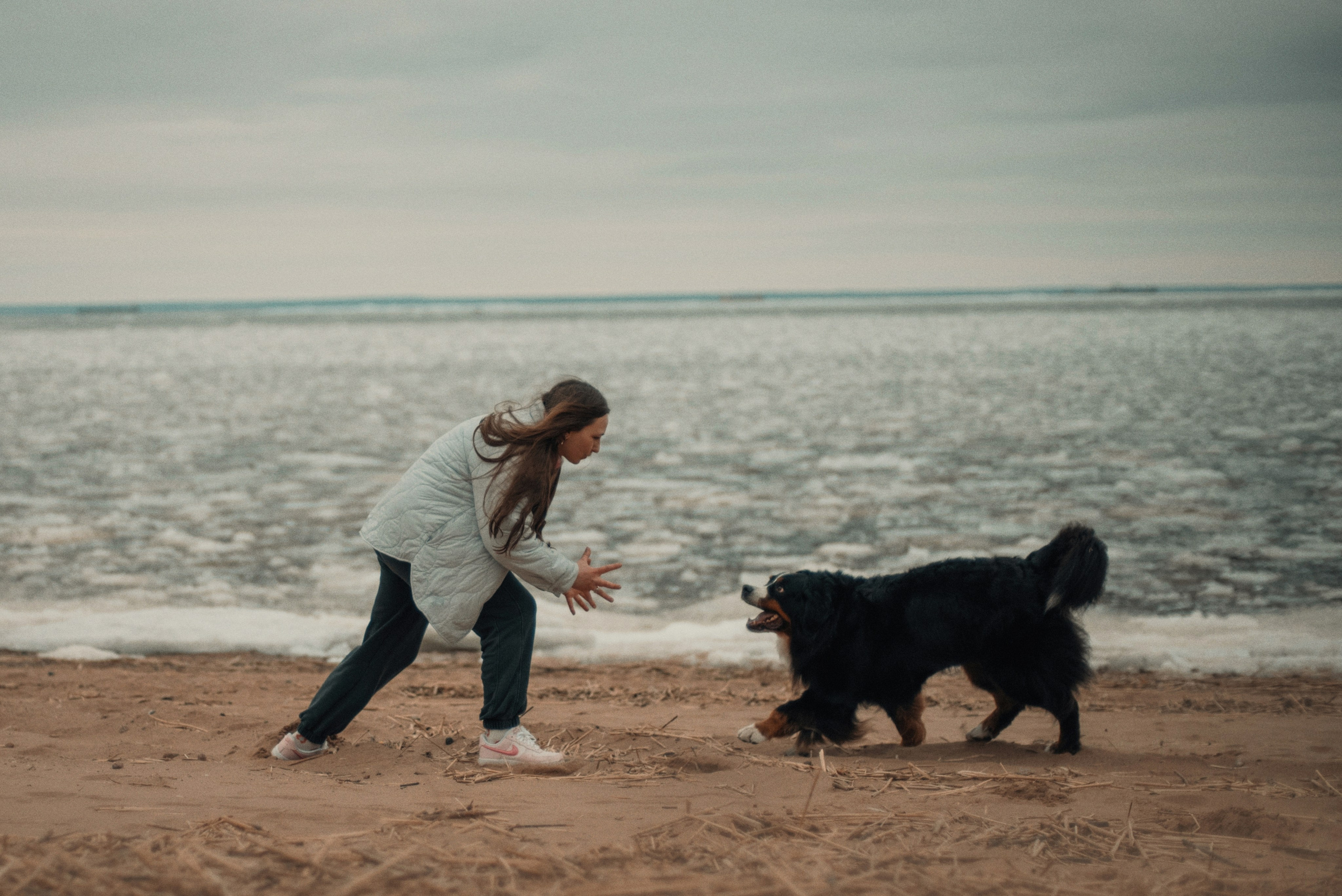 Прогулка: берн Пума, Фрэнк и Юля в Питере. Портфолио