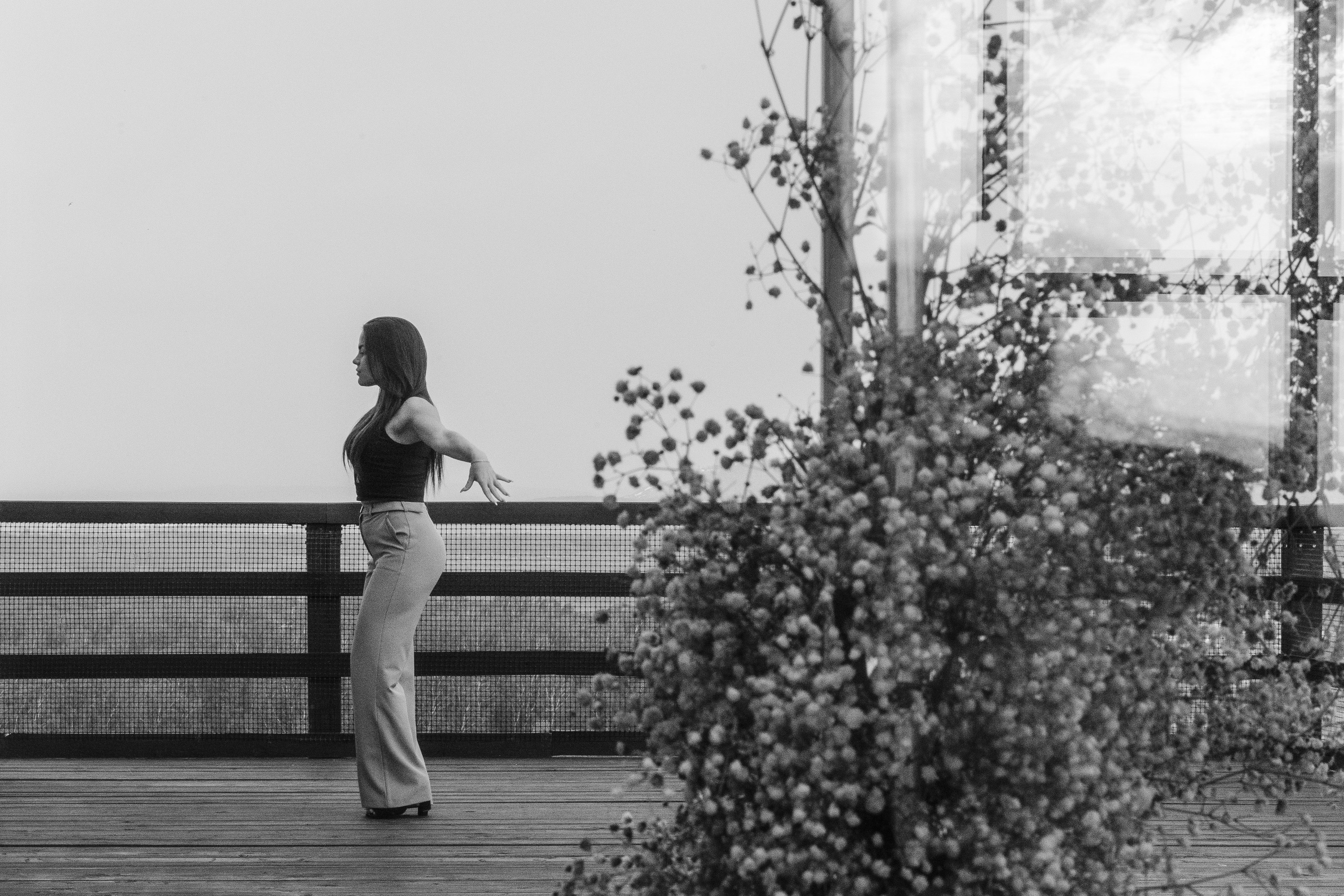 Замечательная свадьба в Белом Замке Шамони в Красноярске. Свадебный фотограф-видеограф в Красноярске Евгений Константинопольский