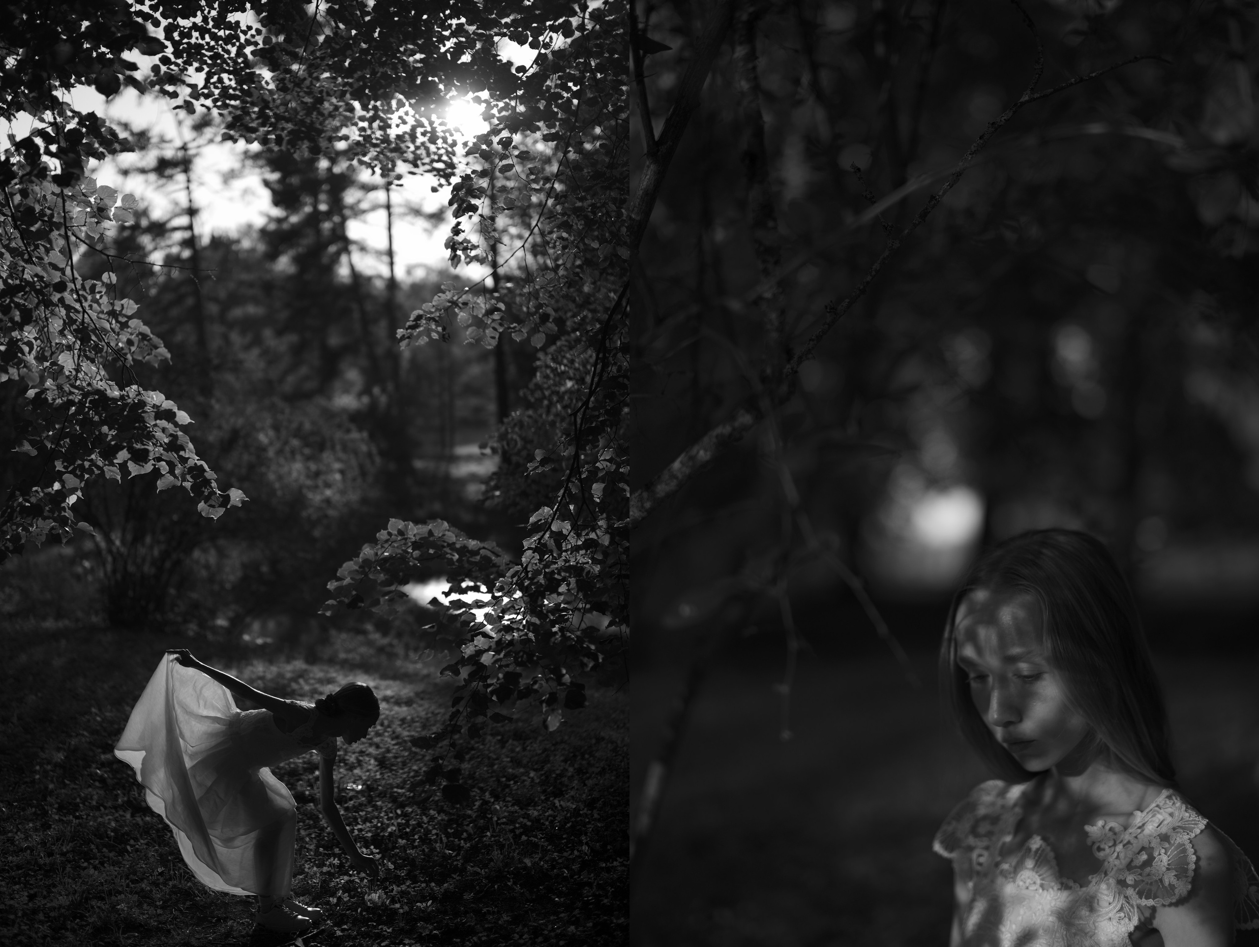 Тонкое. Фотограф Александр Медведев