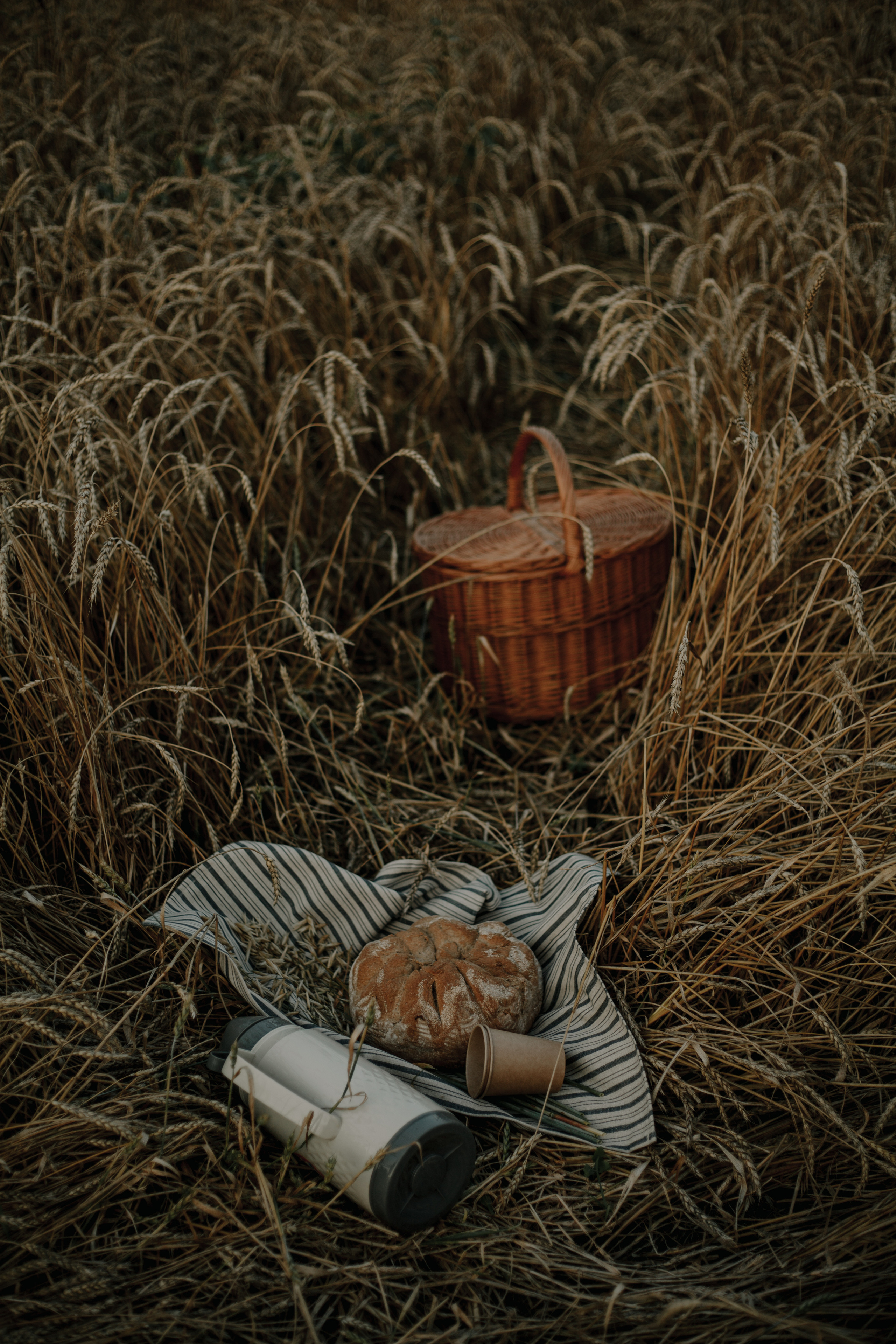 БИОхутор контент. Екатерина Дымова. Фотограф. Автор проекта «Белый Ветер»