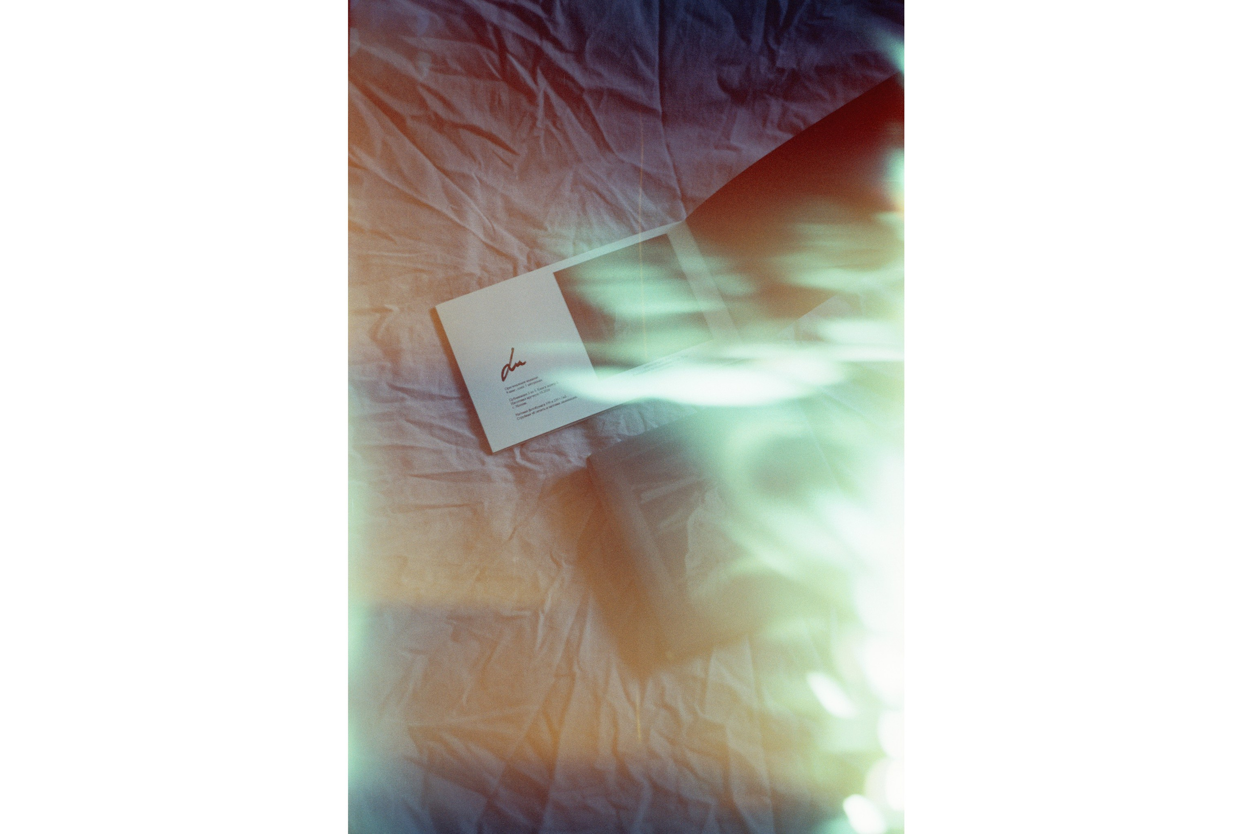 Клетка из рамы старого окна