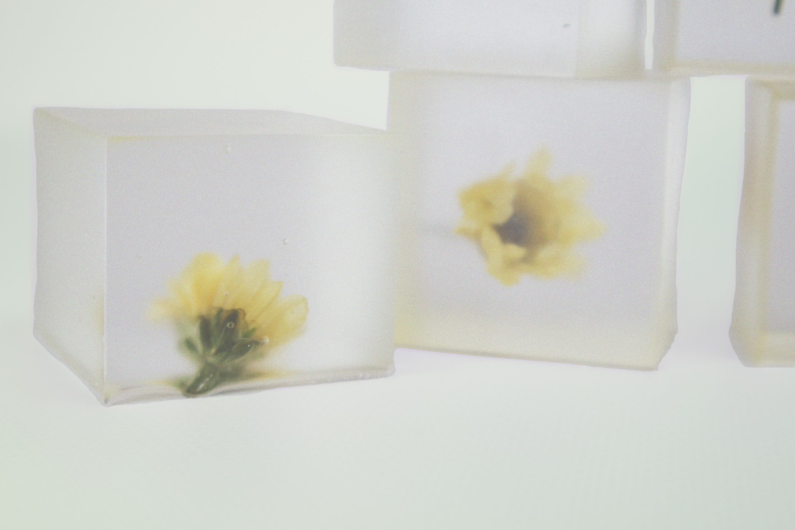 Предметная съемка. Art direction & Design | Curiosa