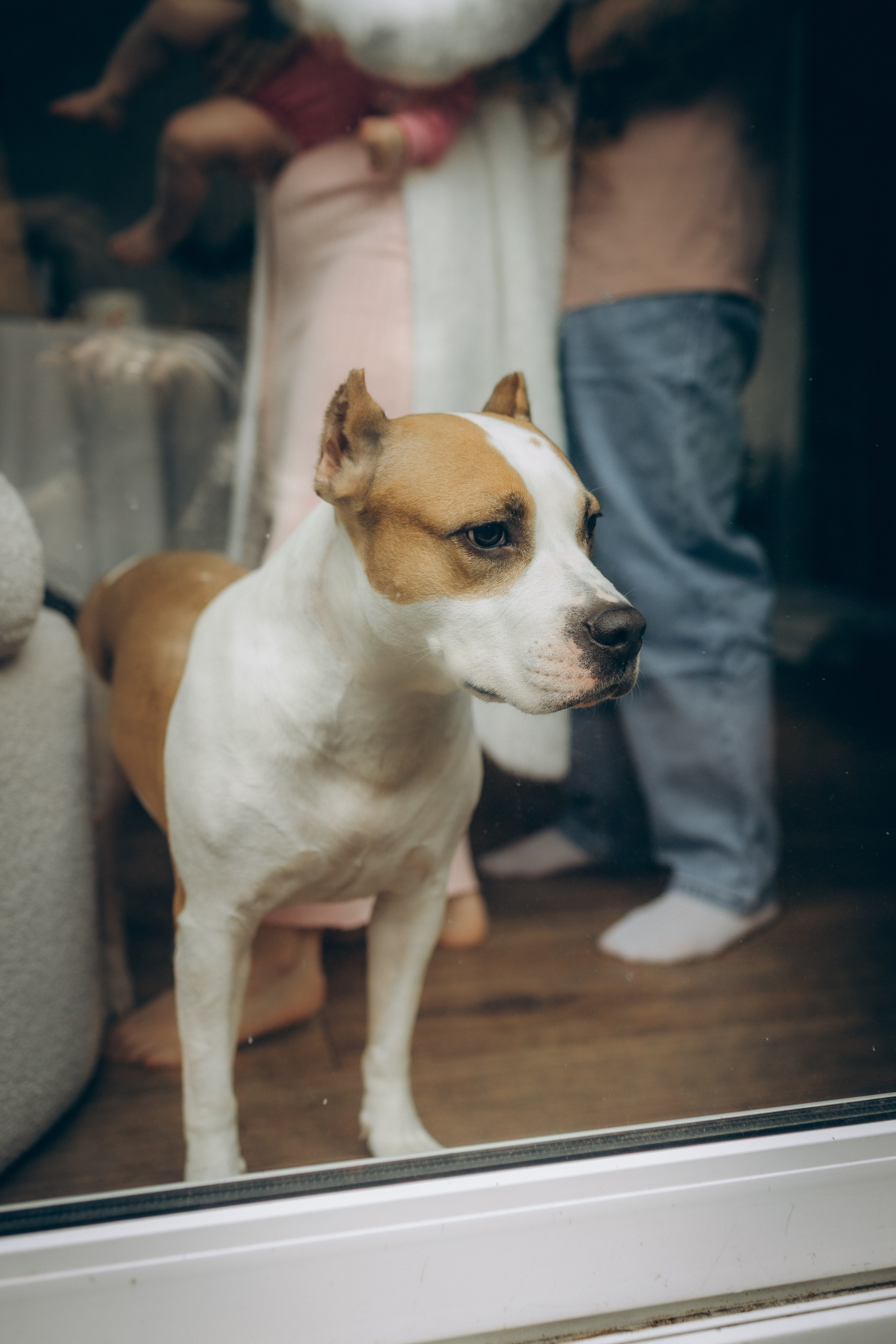 New Year's family story. Семейный фотограф и фотограф на роды в Ростове-на-Дону Мухина Виктория