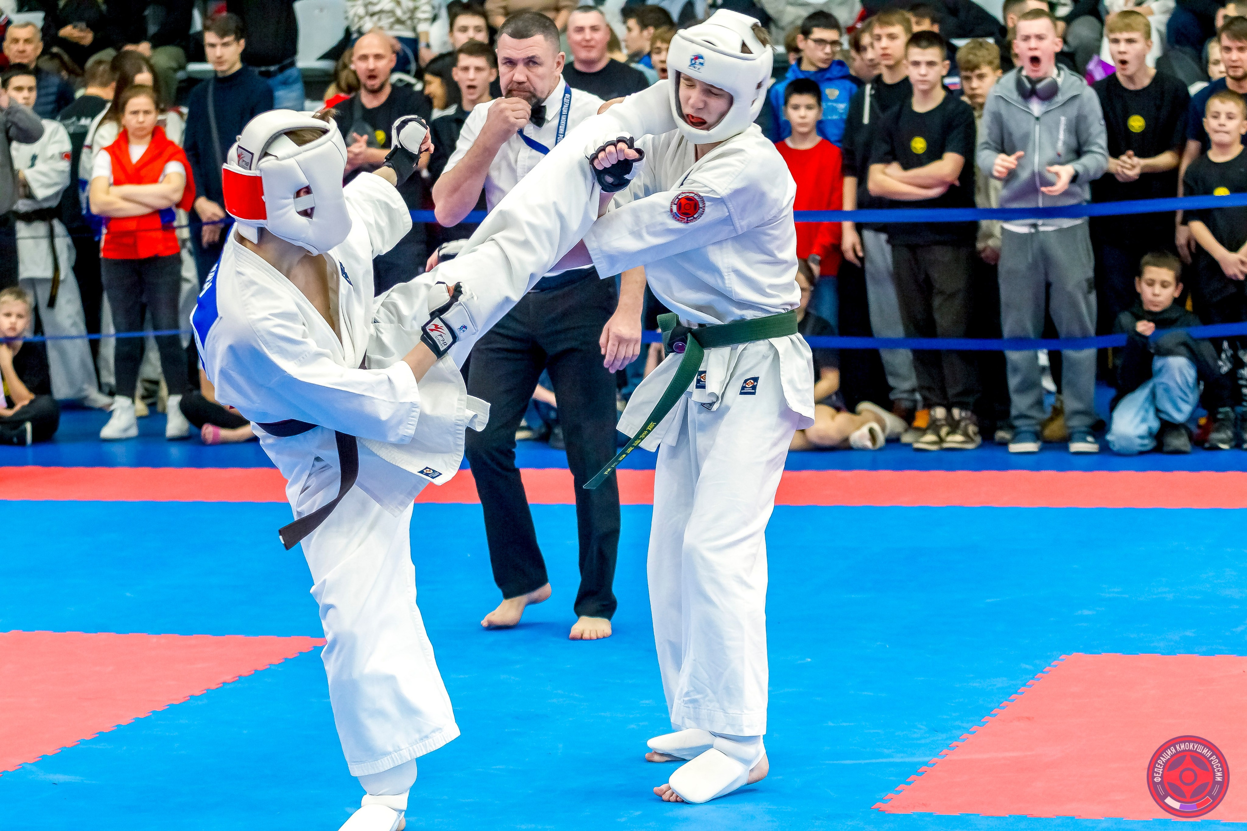 Международный турнир по киокушин «Открытый кубок Seiken». Репортажная съемка в Москве и области. Анималистика