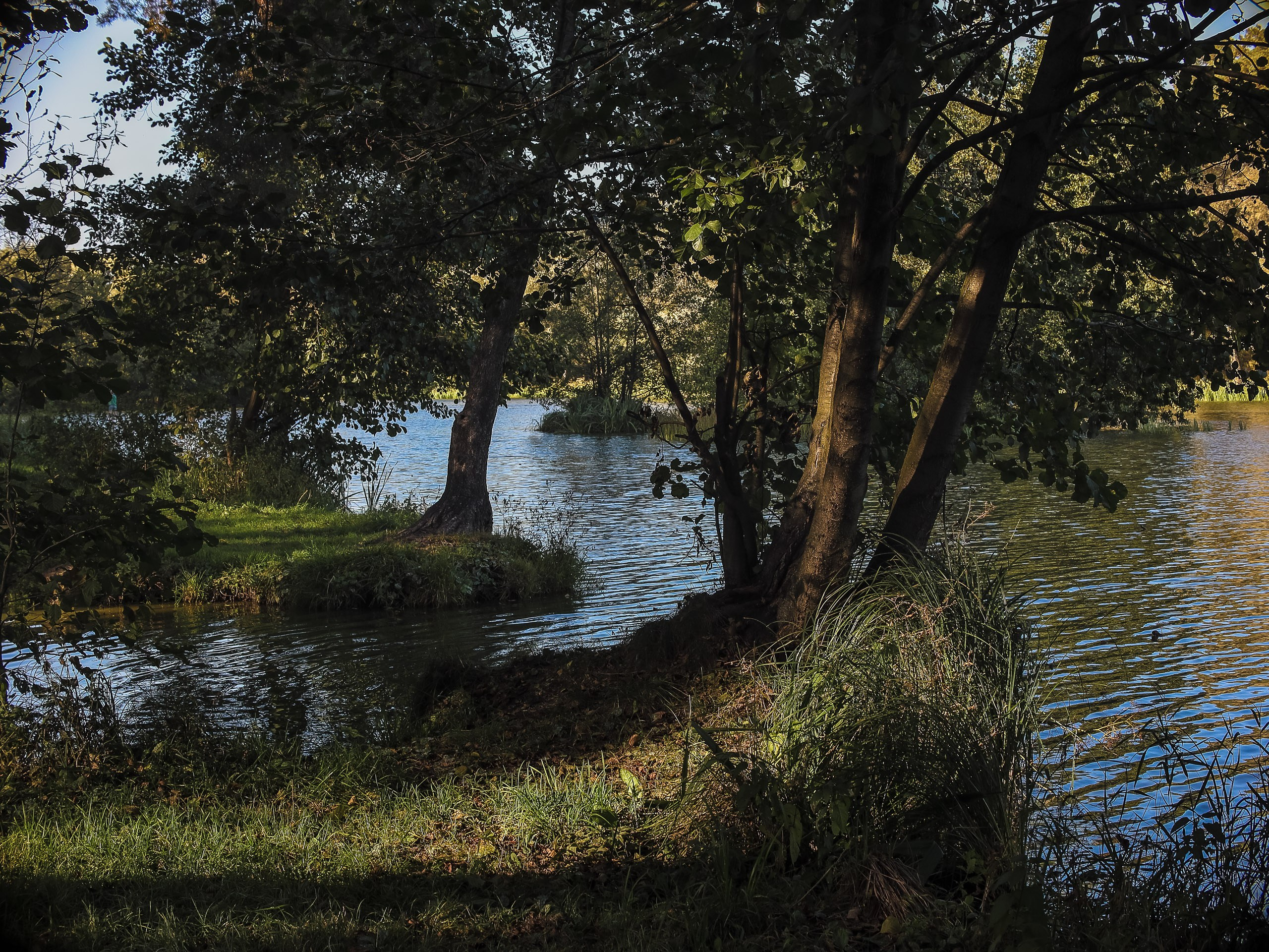 Природа в фотографии