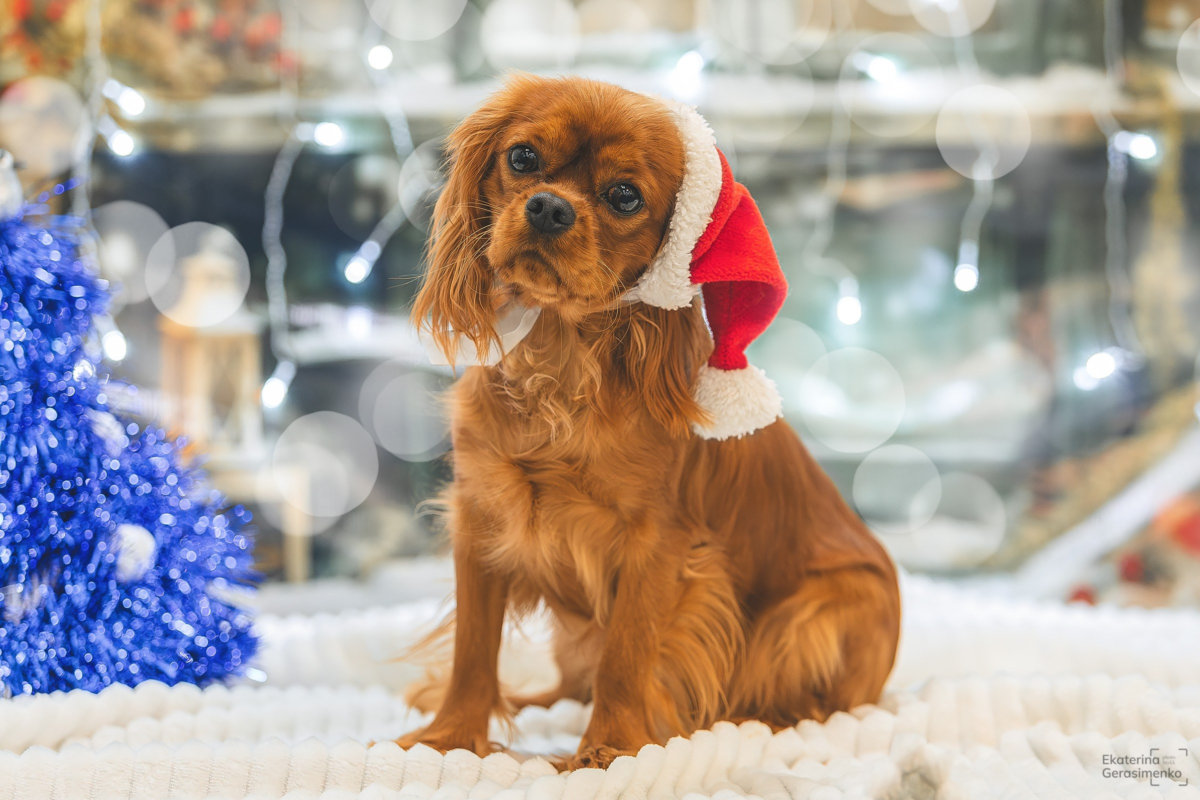 Фотодень. Htykk_photo