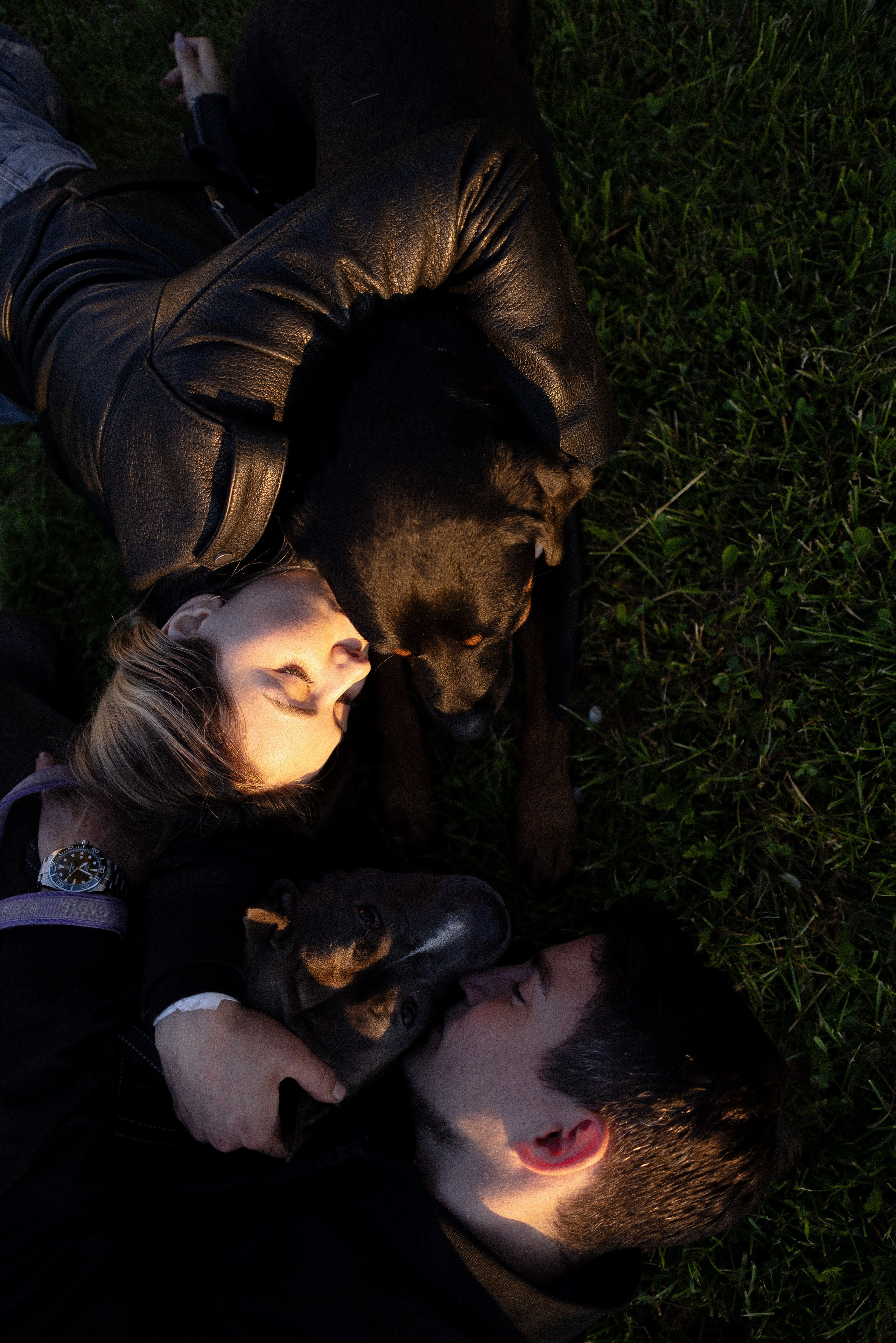 Катя, Леша, Лея и Трой. Фотограф и видеограф анималист Аганина Дарья