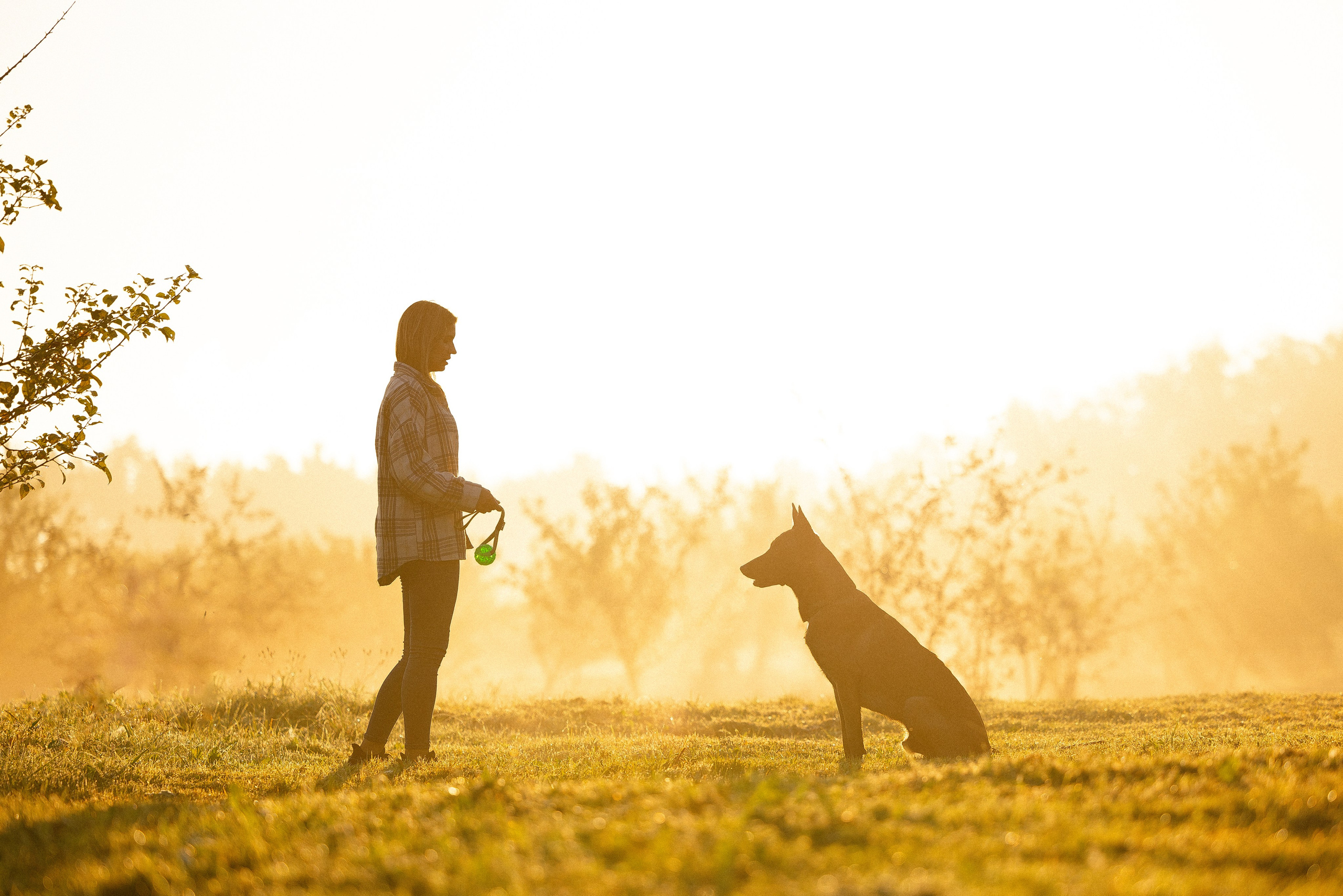 Галина и Кодекс. Фотограф и видеограф анималист Аганина Дарья