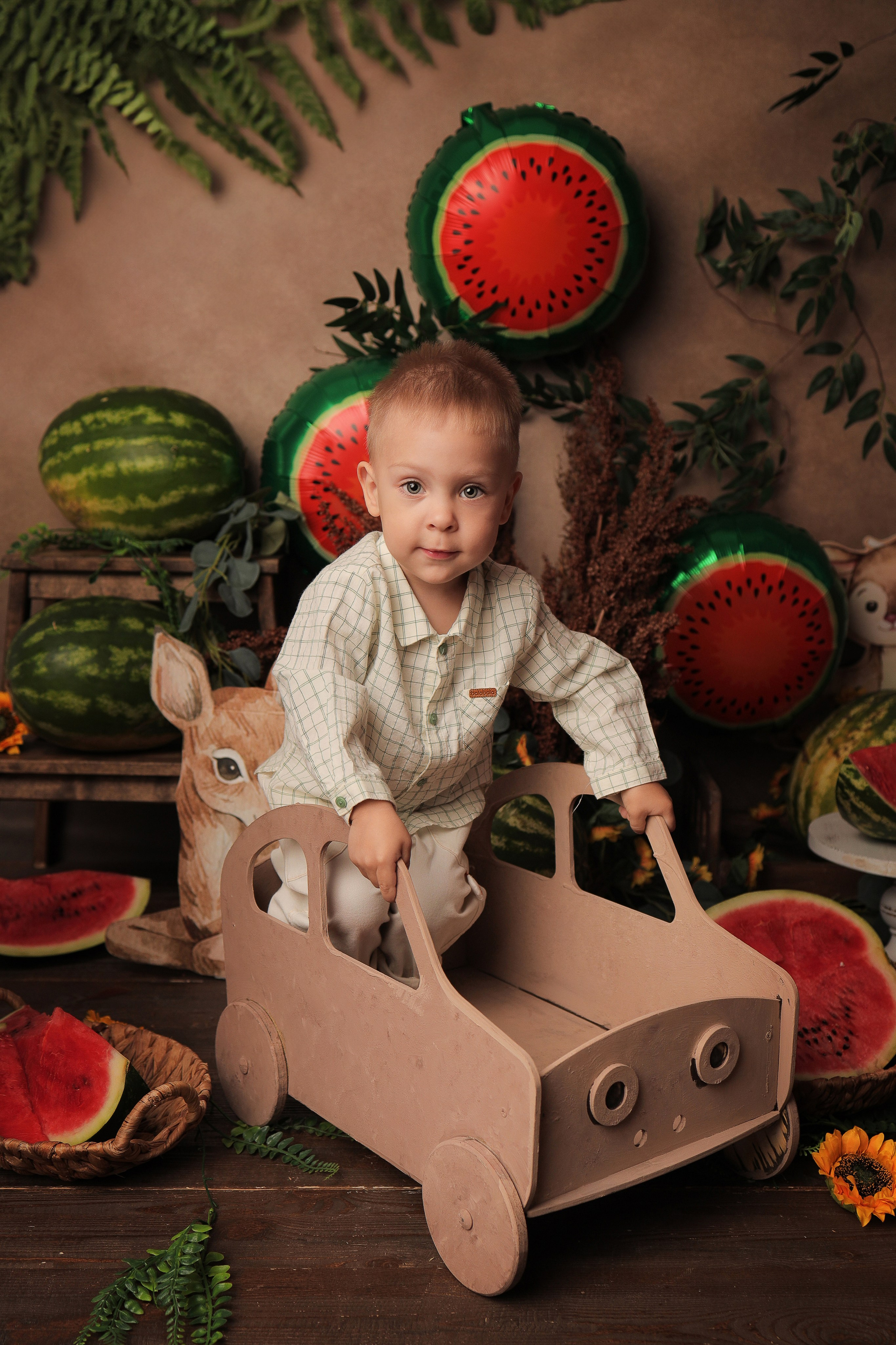 Ефим, 2 годика (Фотодень). Фотограф новорожденных в Новокузнецке Анна Горошникова