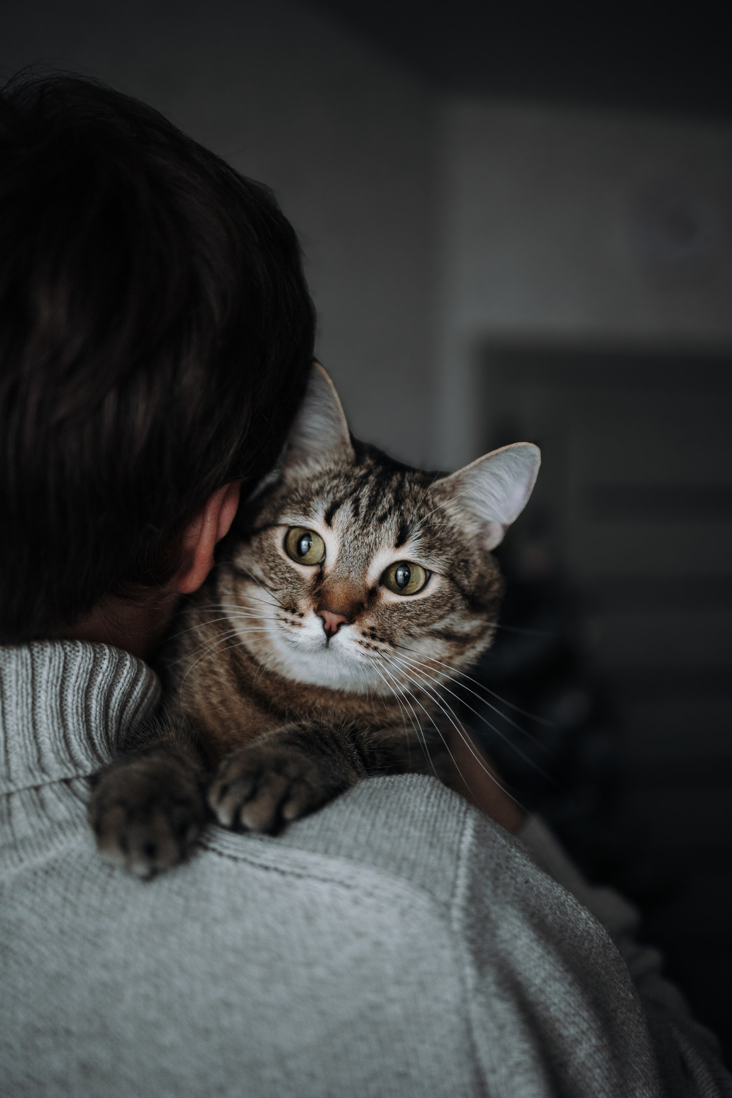 Мася и ее семья. Фотограф — Анималист | Санкт-Петербург