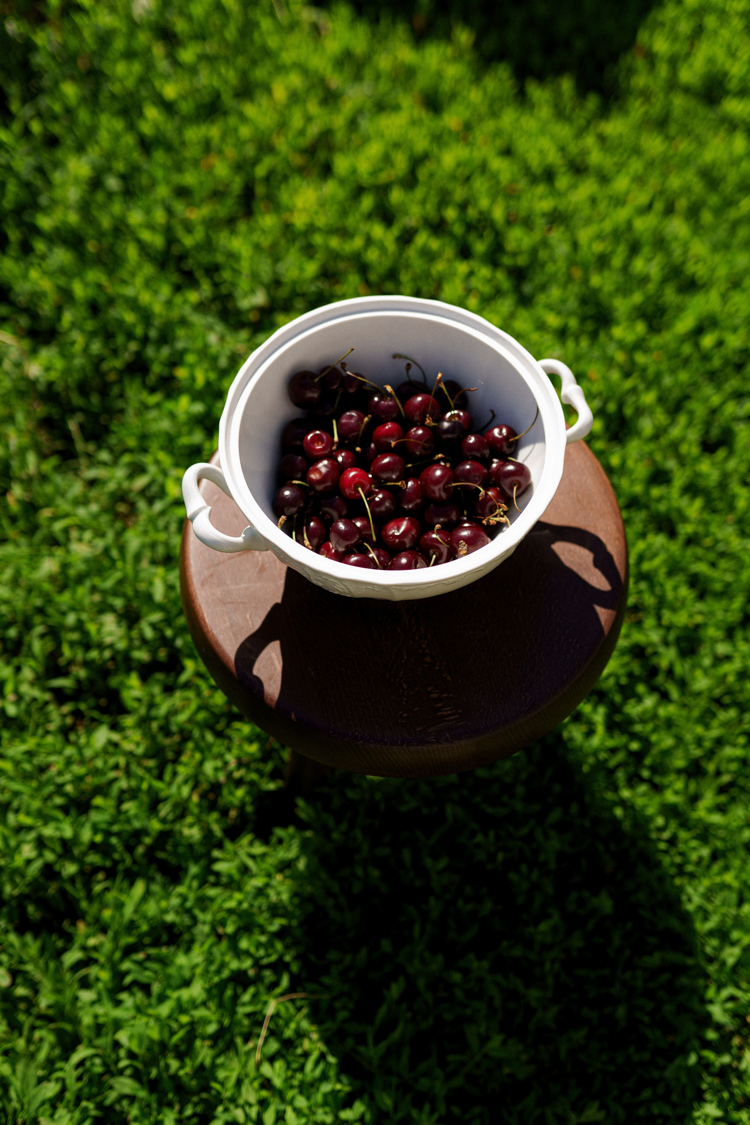 KEN DALA. Aigerimkudaibergen.com